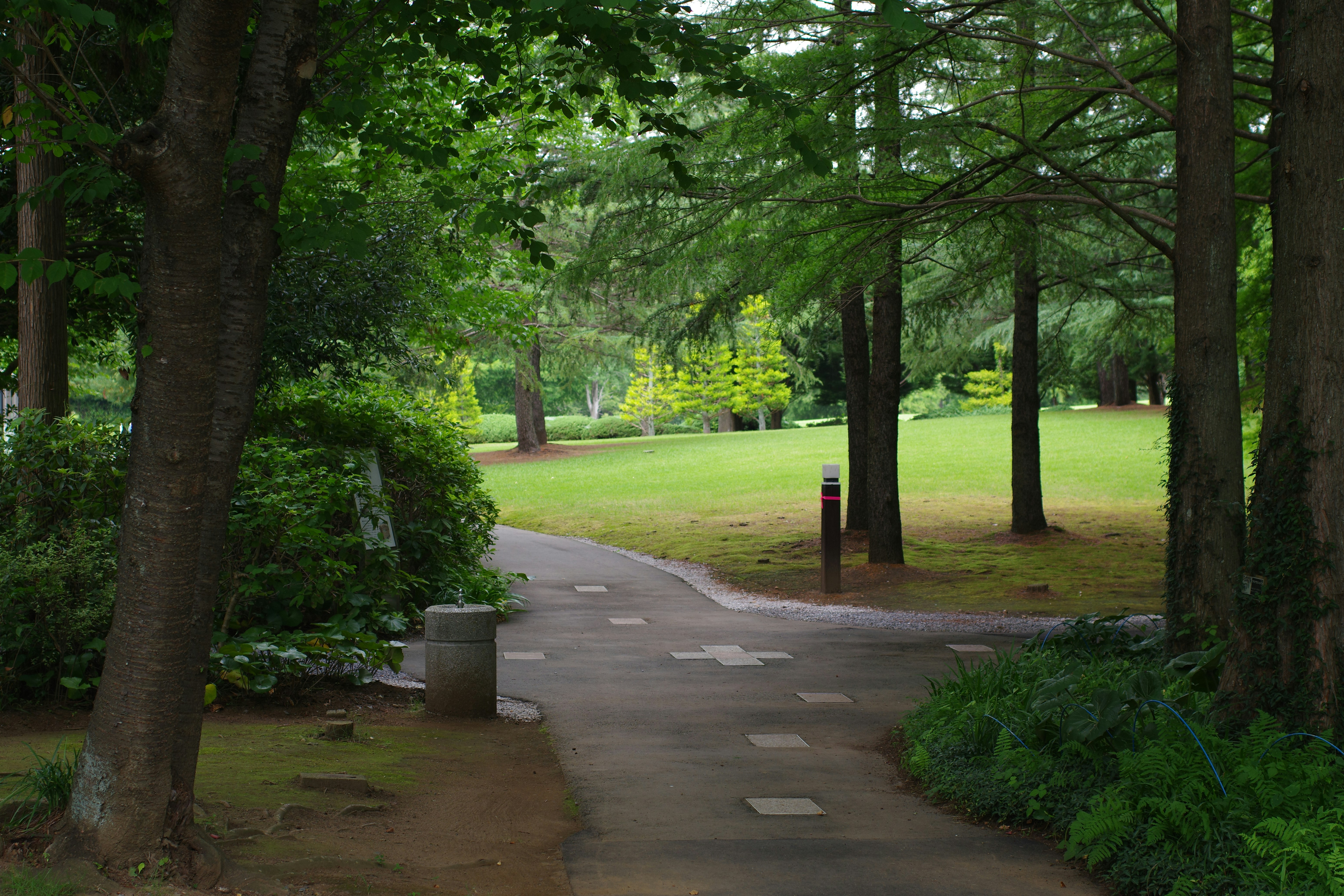 你家根本是細菌培養皿！這5個家居死角，你一定想不到！