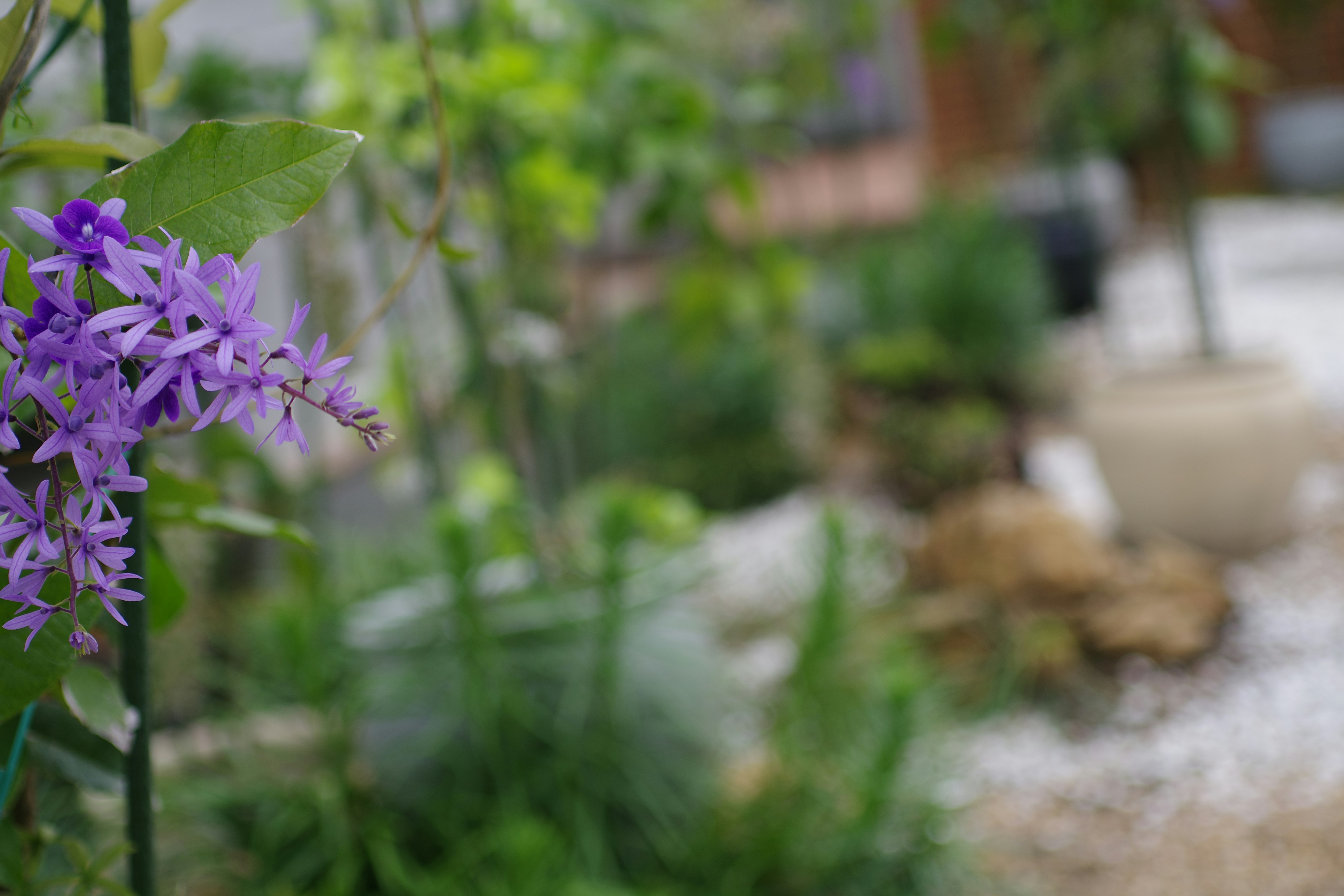 Detalle de proyecto completado de jardín sostenible