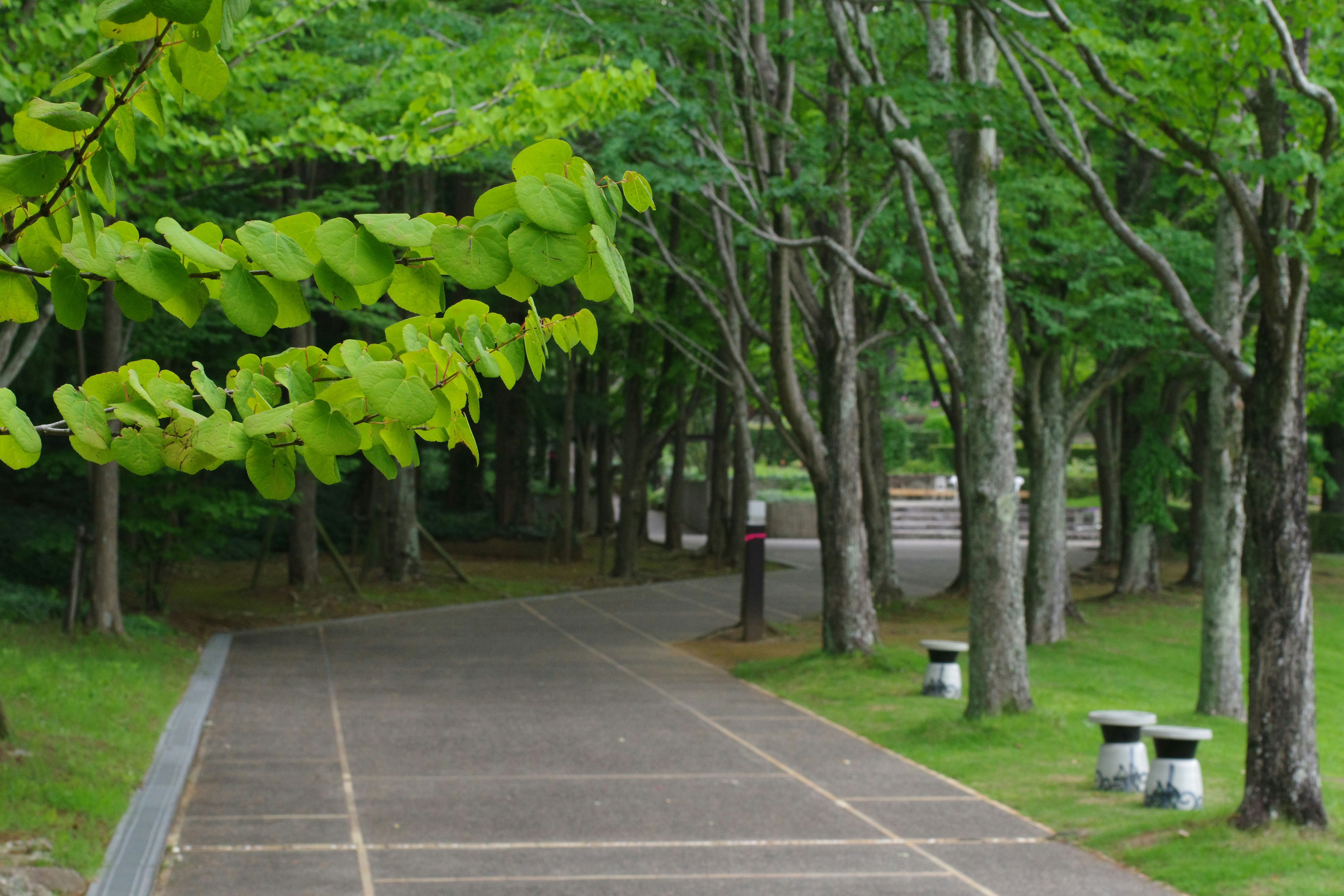 媽啊！這樣做家裡煥然一新，懶人也能變身收納王！