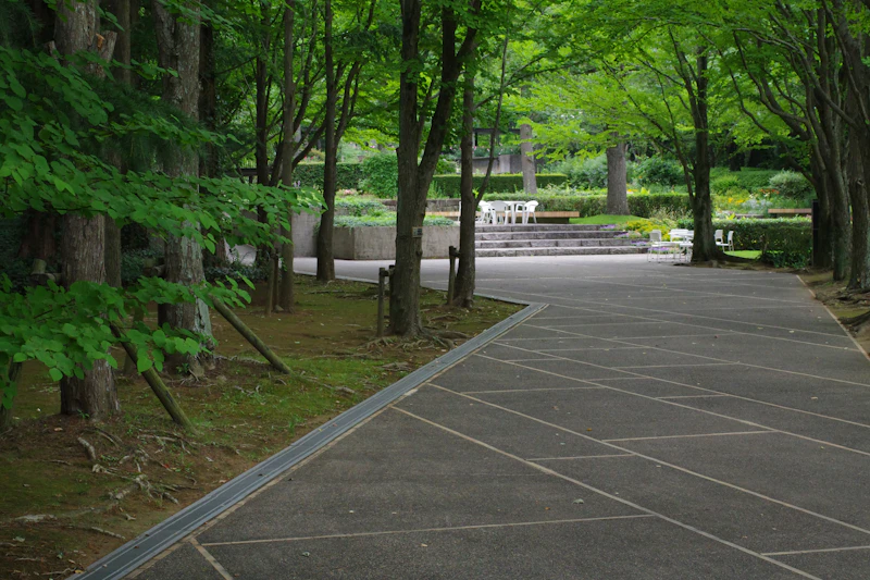 Paver walkway installation