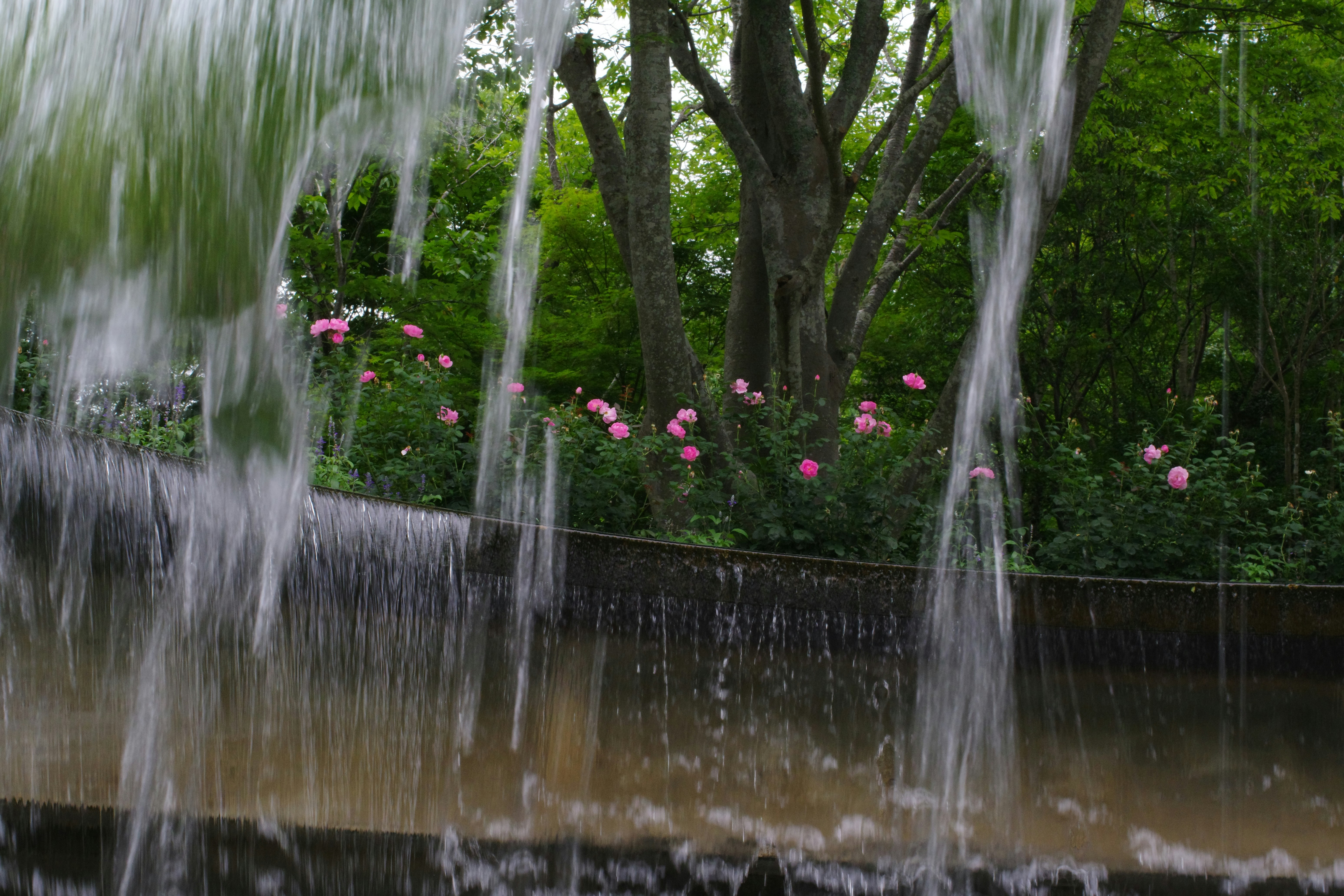 Splash Park