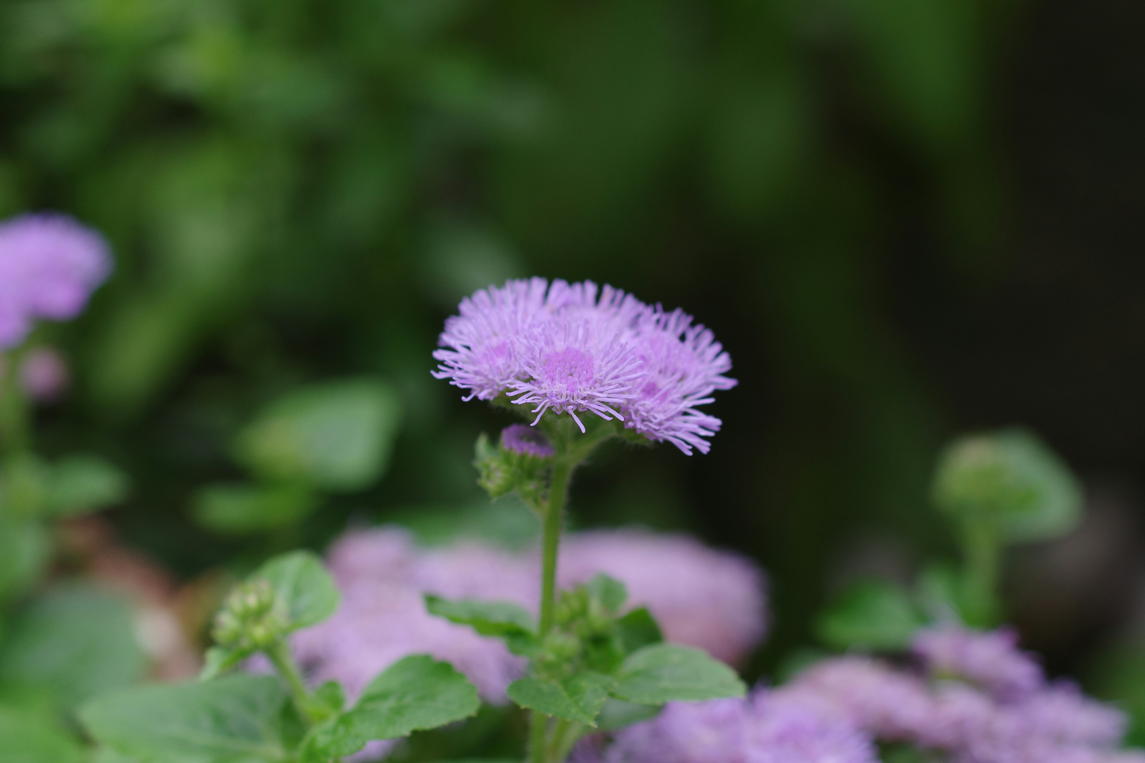 媽呀！XX清潔劑別亂用，阿嬤祖傳妙招竟是