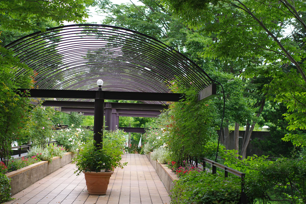 Deck before restoration
