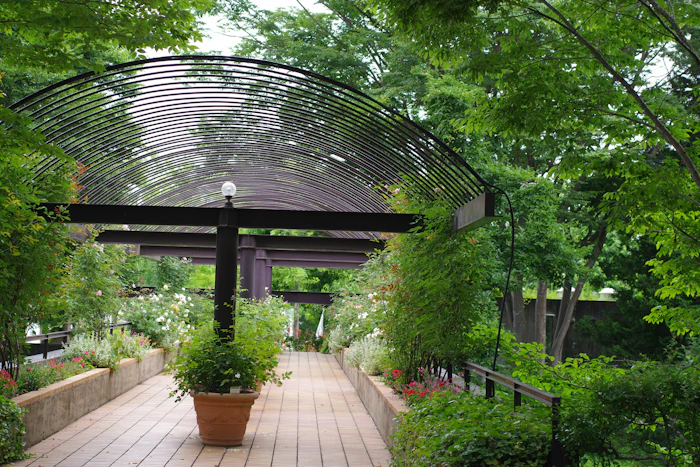 Finished wooden deck build