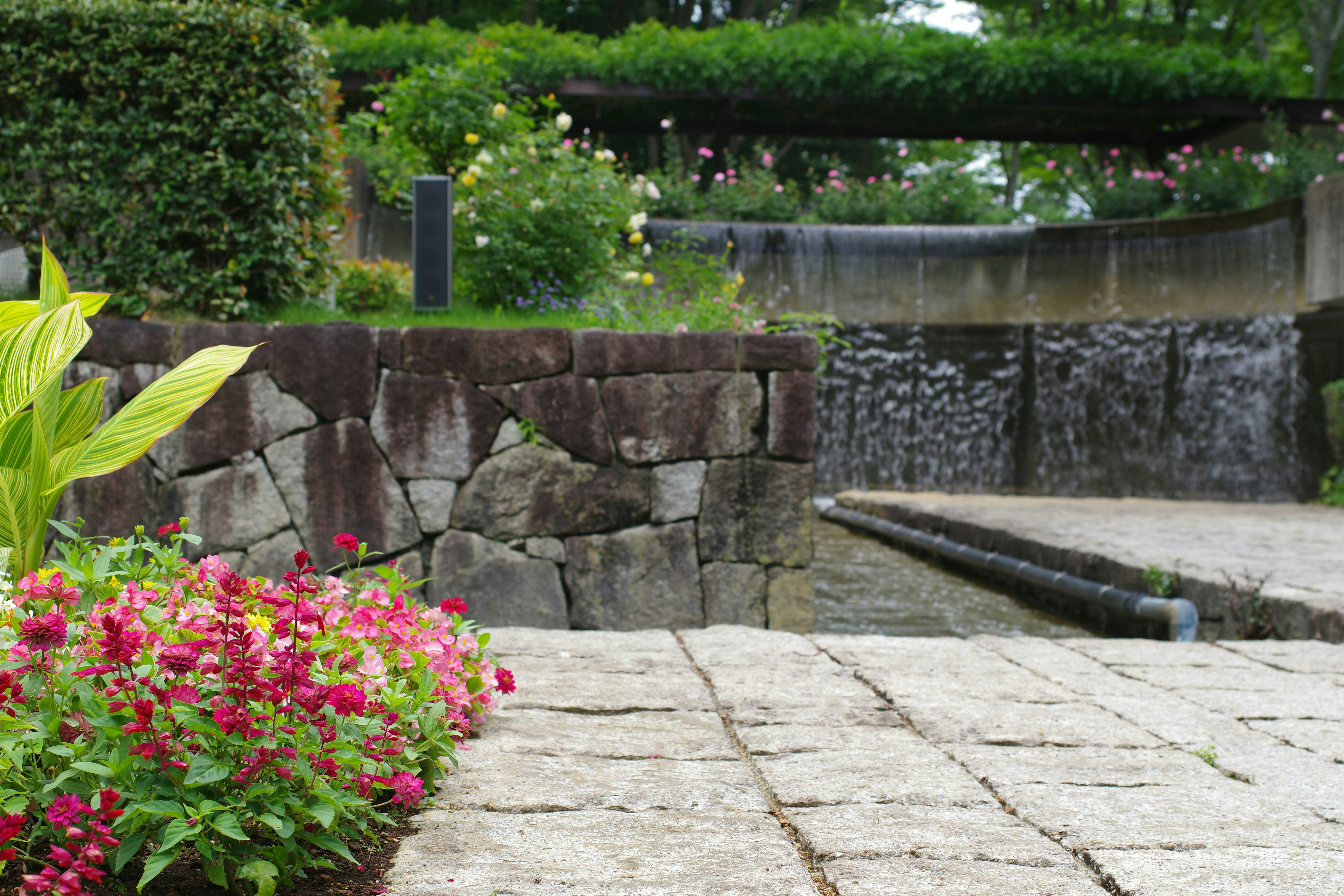 媽呀！廚房水槽這樣清，陳年油垢一秒消失術！
