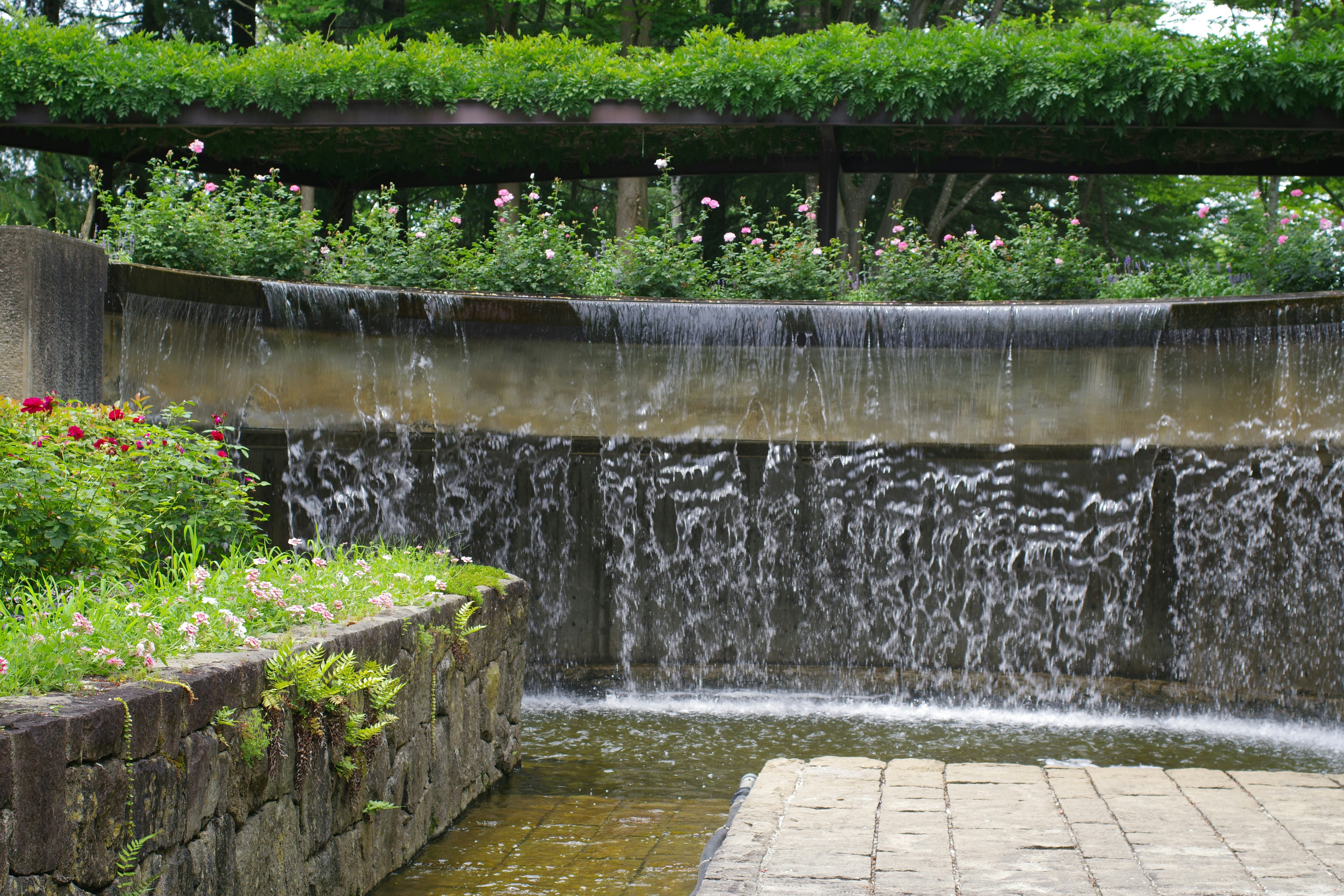 Image by Naoki Suzuki via Unsplash