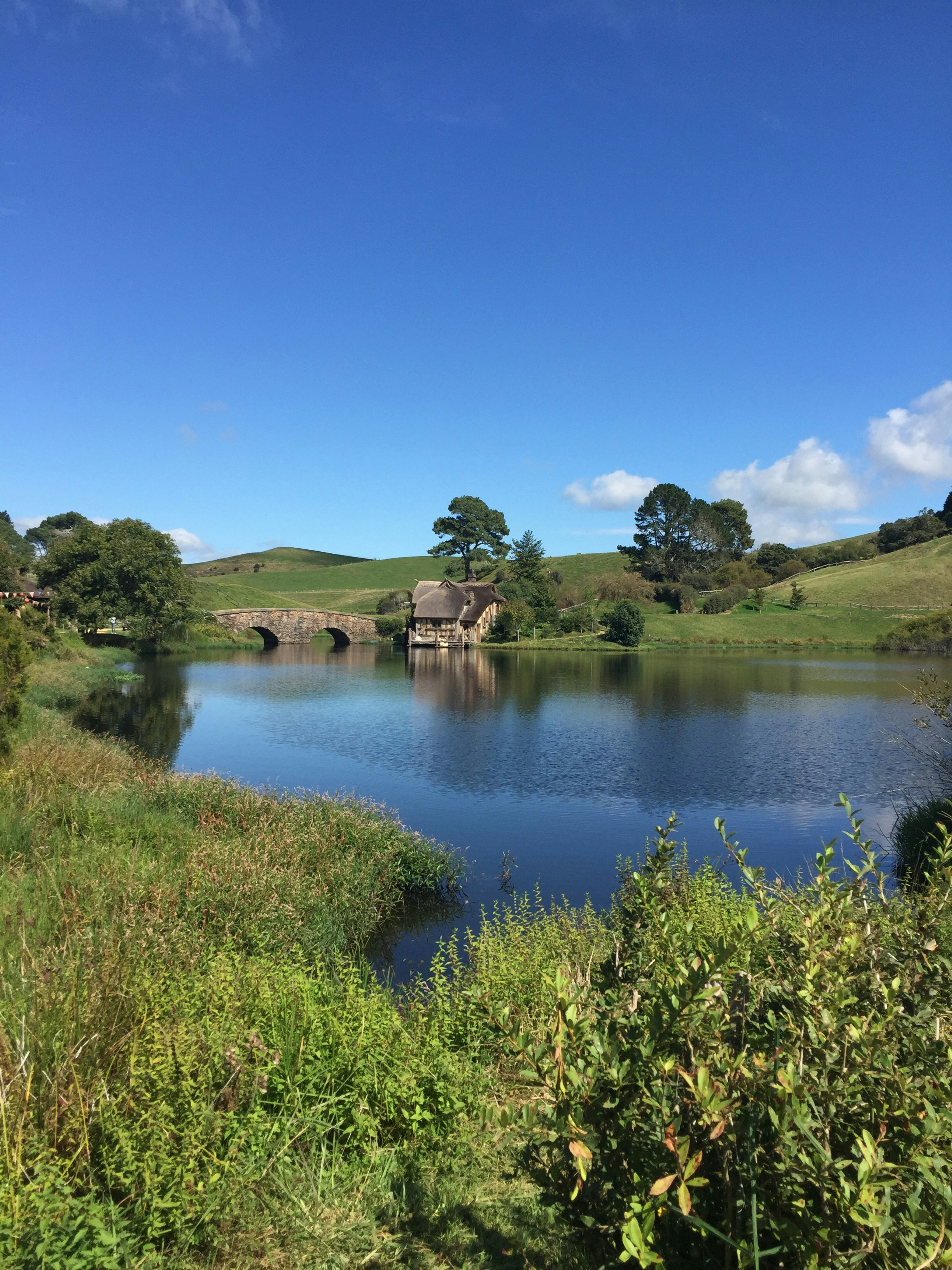 Photo by trisera_tops22