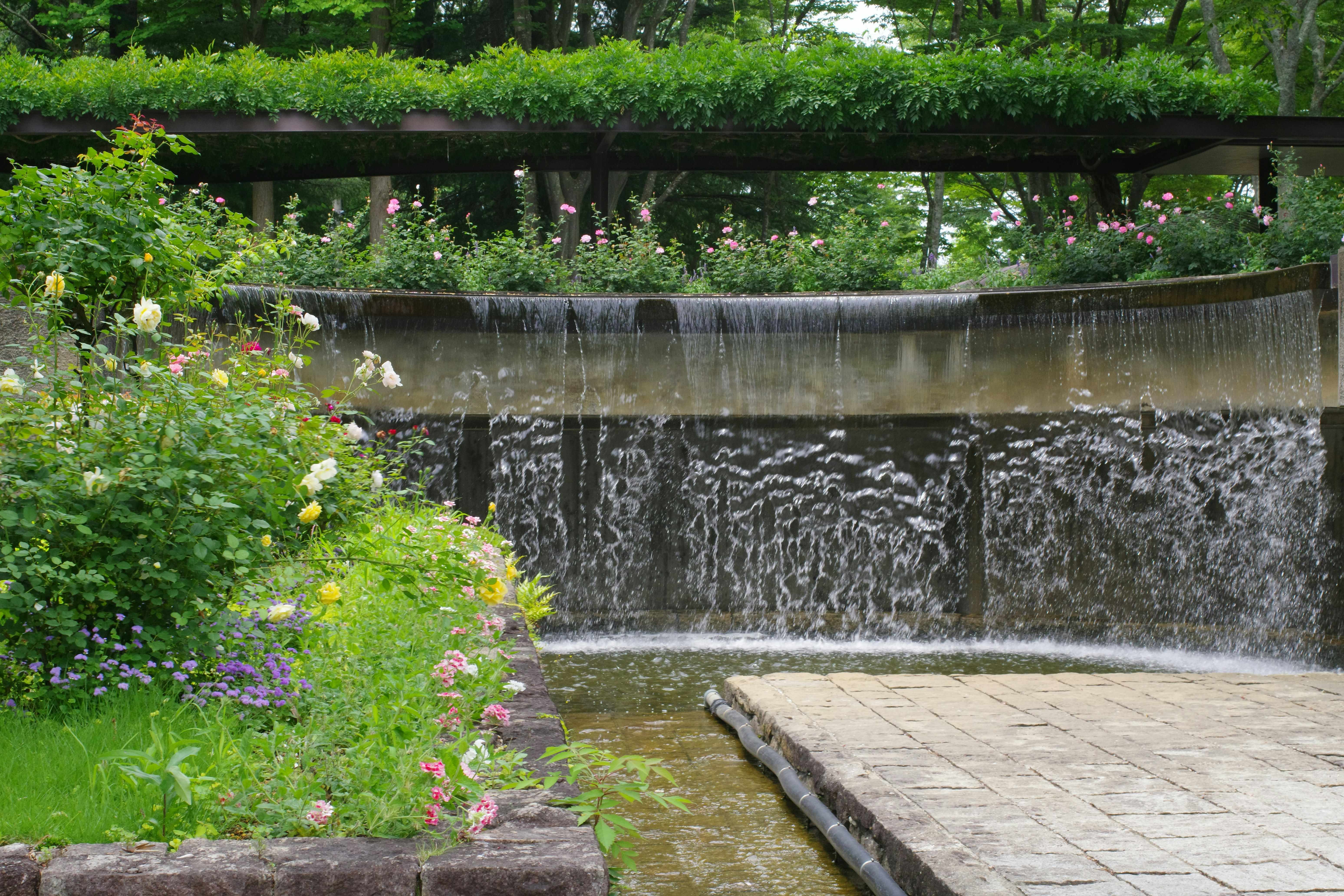 A water feature in a garden with flowers and greenery