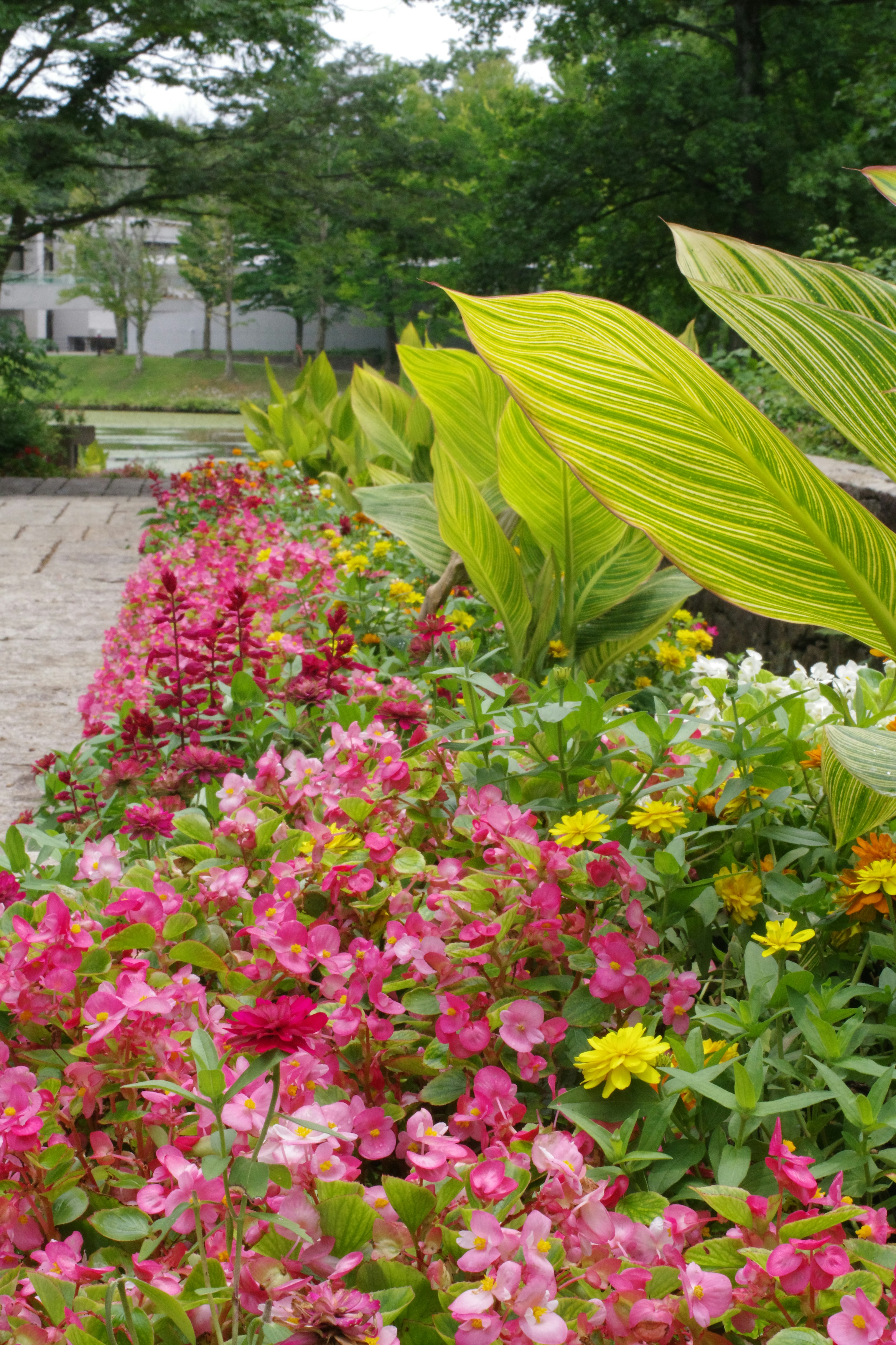 Urban garden with seasonal flowering plants