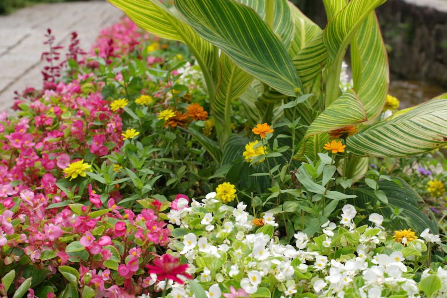 Colourful flowers and planting in a green garden