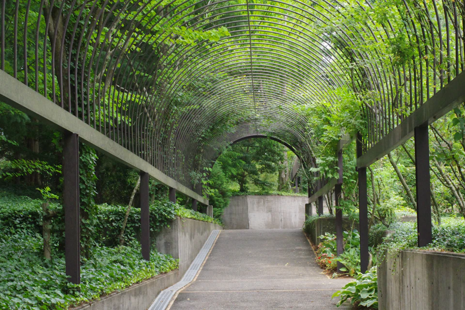 The image depicts a serene garden scene with a concrete walkway that curves gently to the right, leading towards an archway covered in lush green leaves and vines. The walkway is bordered by a variety of plants and trees, creating a natural canopy overhead. The sky above is overcast, casting a soft light on the scene below.