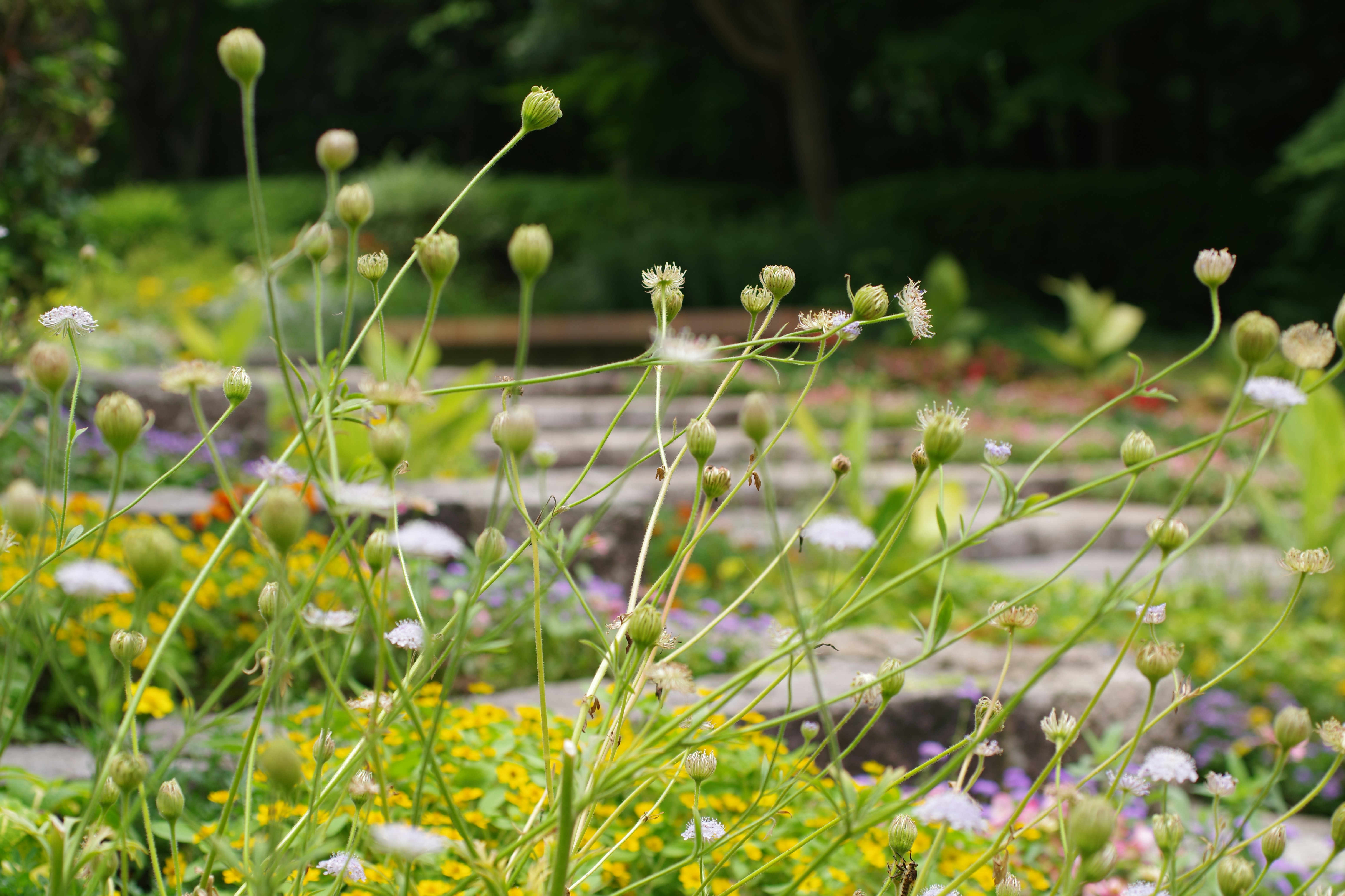 以下是針對「家居熱門主題」所設計的五個點閱誘餌標題，符合您的要求：