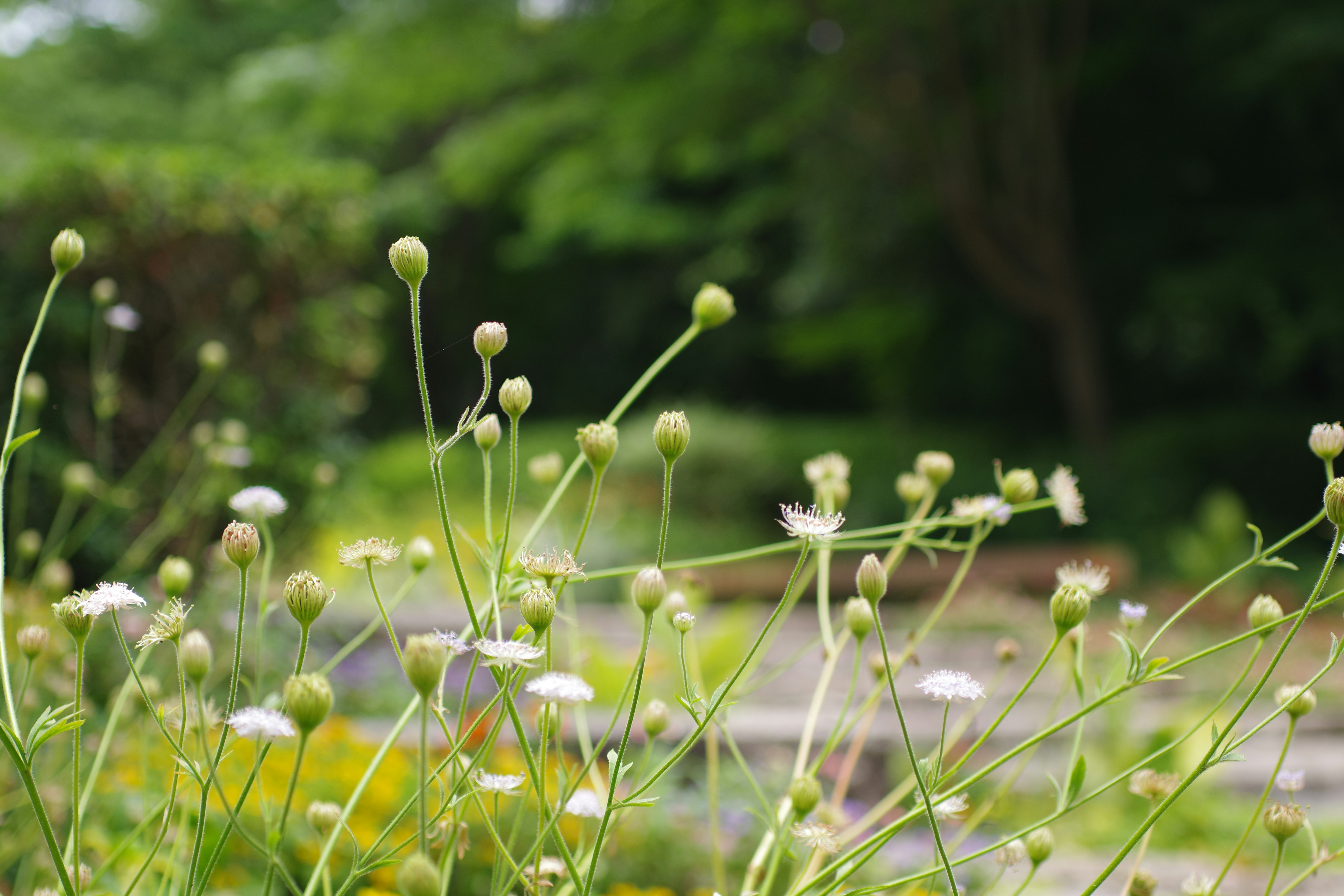 😱震驚！99%的人都搞錯的居家清潔真相，難怪你家永遠髒！