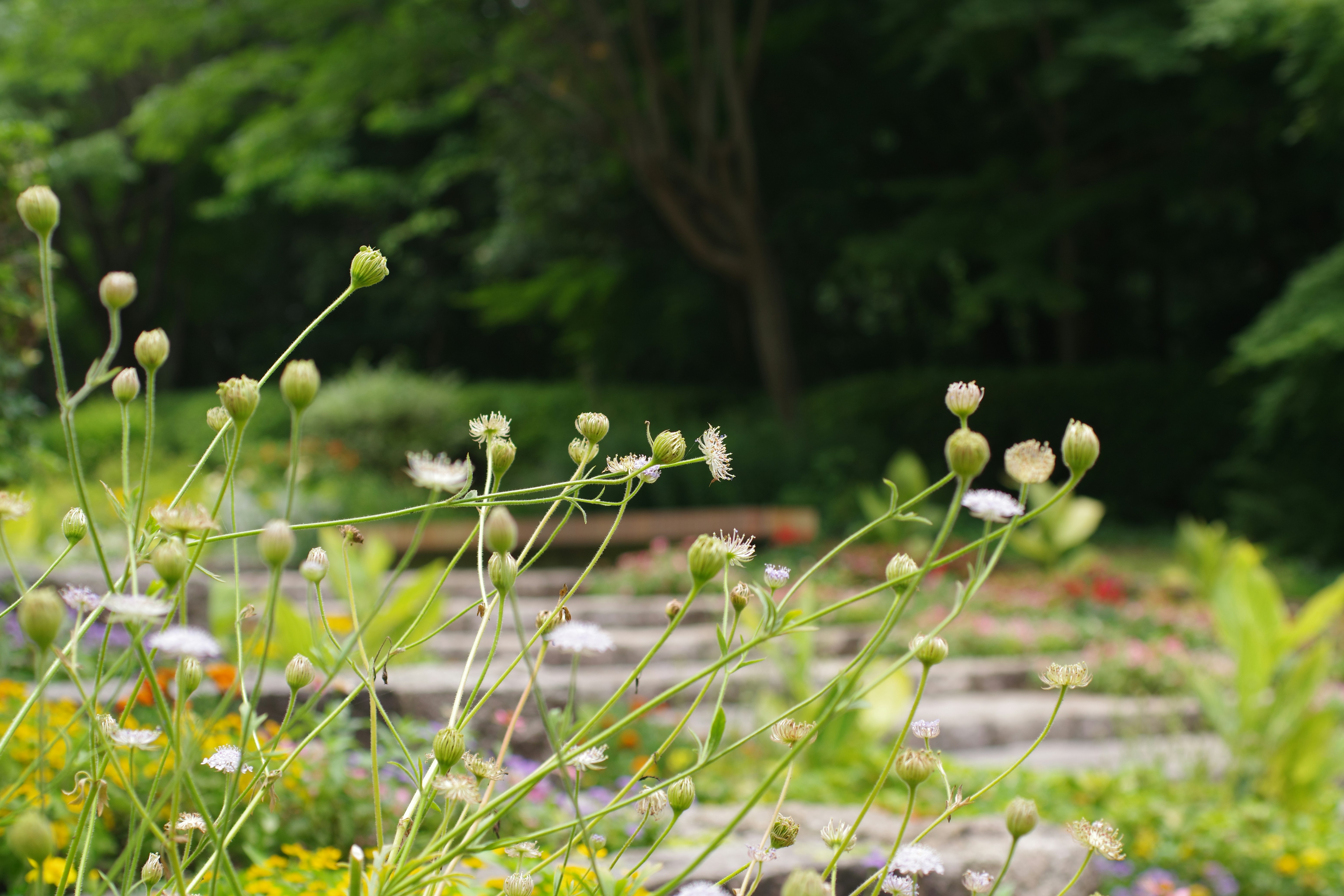 SEO process for landscaping websites