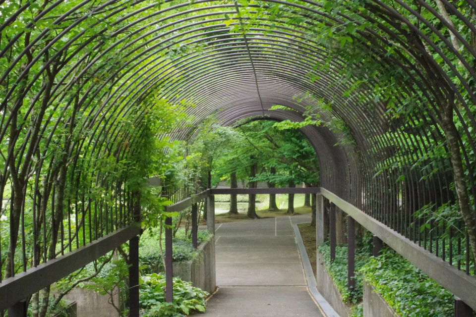 The image depicts a serene garden scene with an arched walkway constructed from metal, leading to a lush green canopy of trees. The walkway is bordered by a wooden fence on one side and a concrete wall on the other, creating a harmonious blend of natural and man-made elements.

The garden is teeming with life, featuring various plants and trees that add depth and texture to the scene. The predominant colors are green from the foliage and browns from the metal walkway and fence.