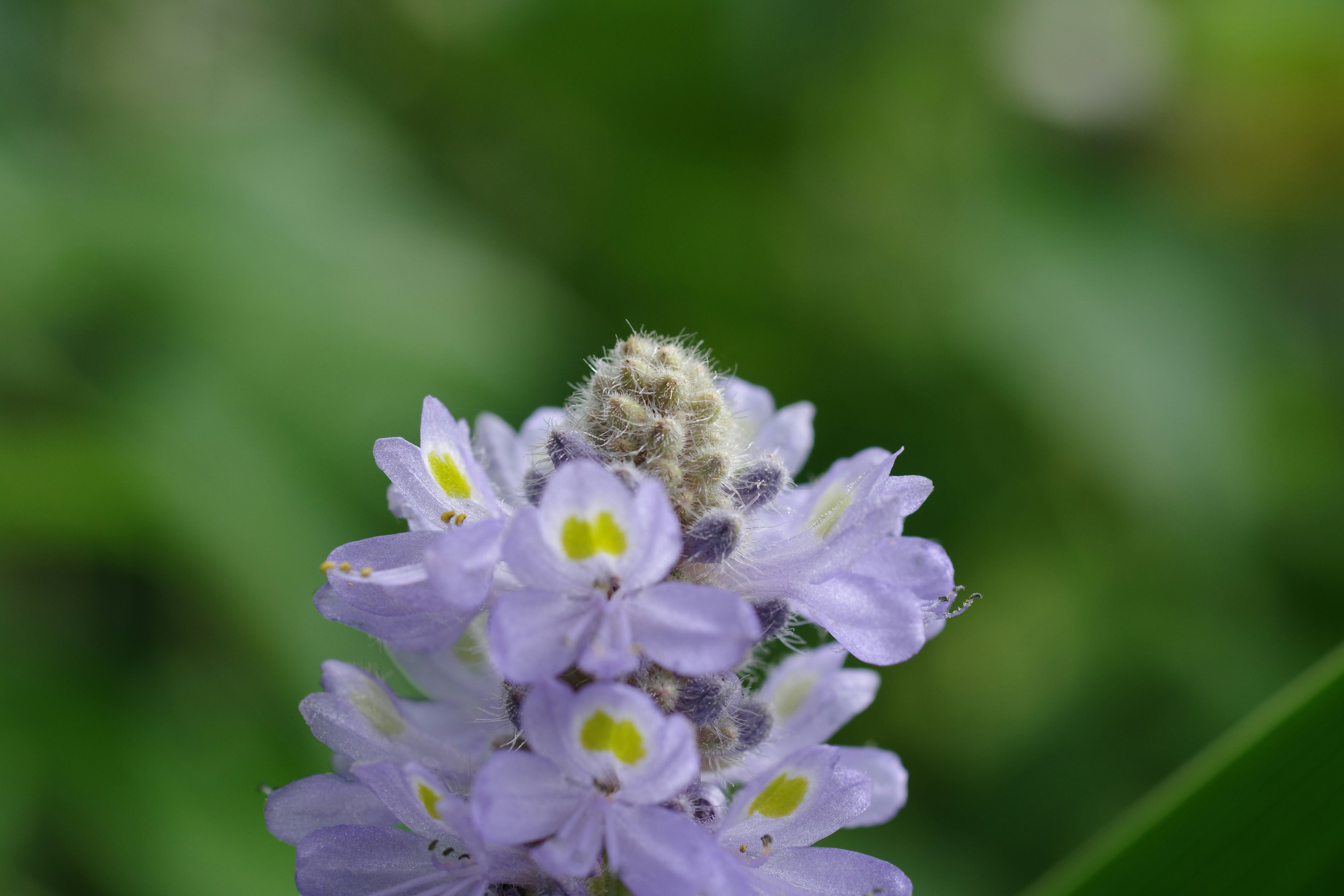 Photo by naopp