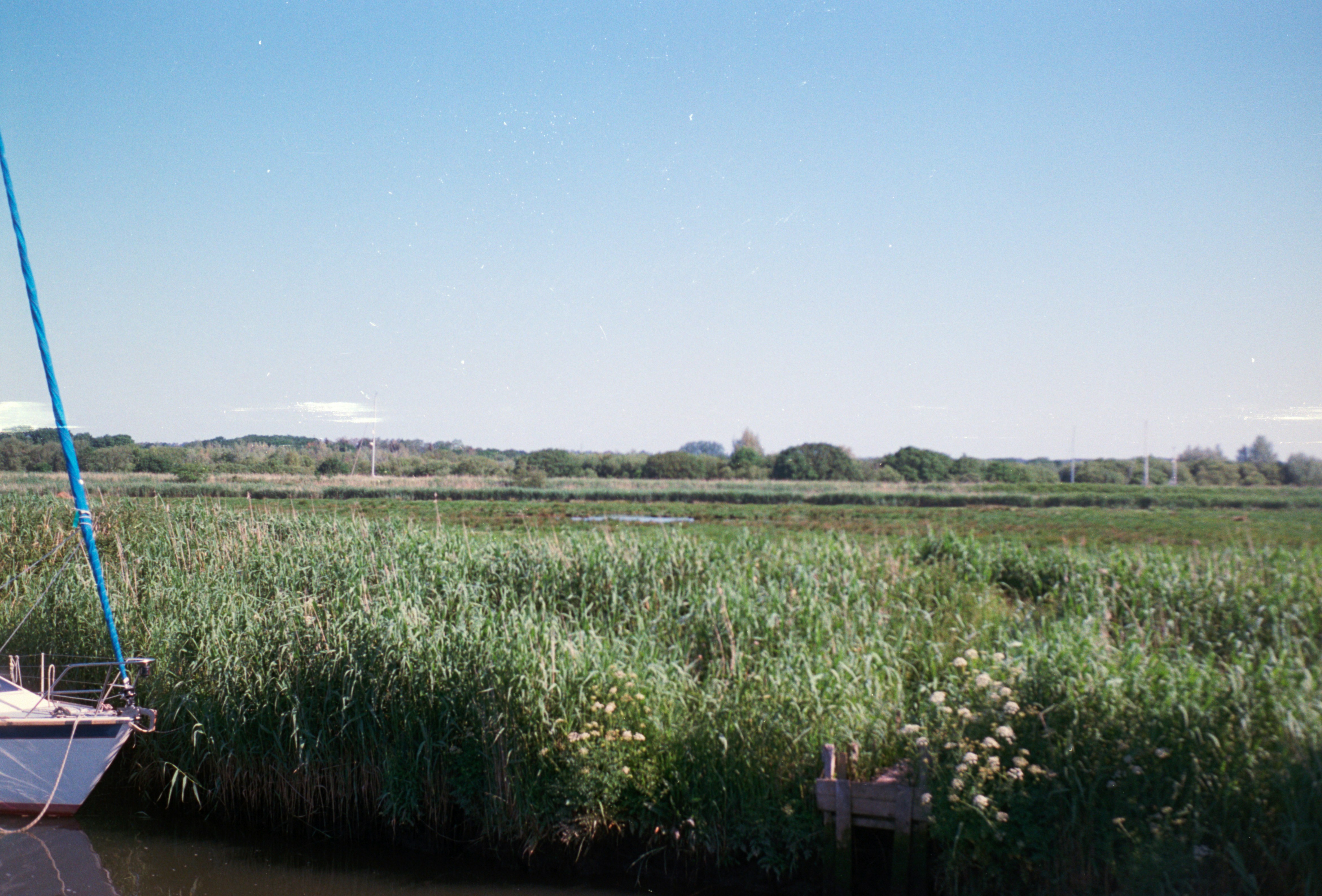 Photo by anniespratt