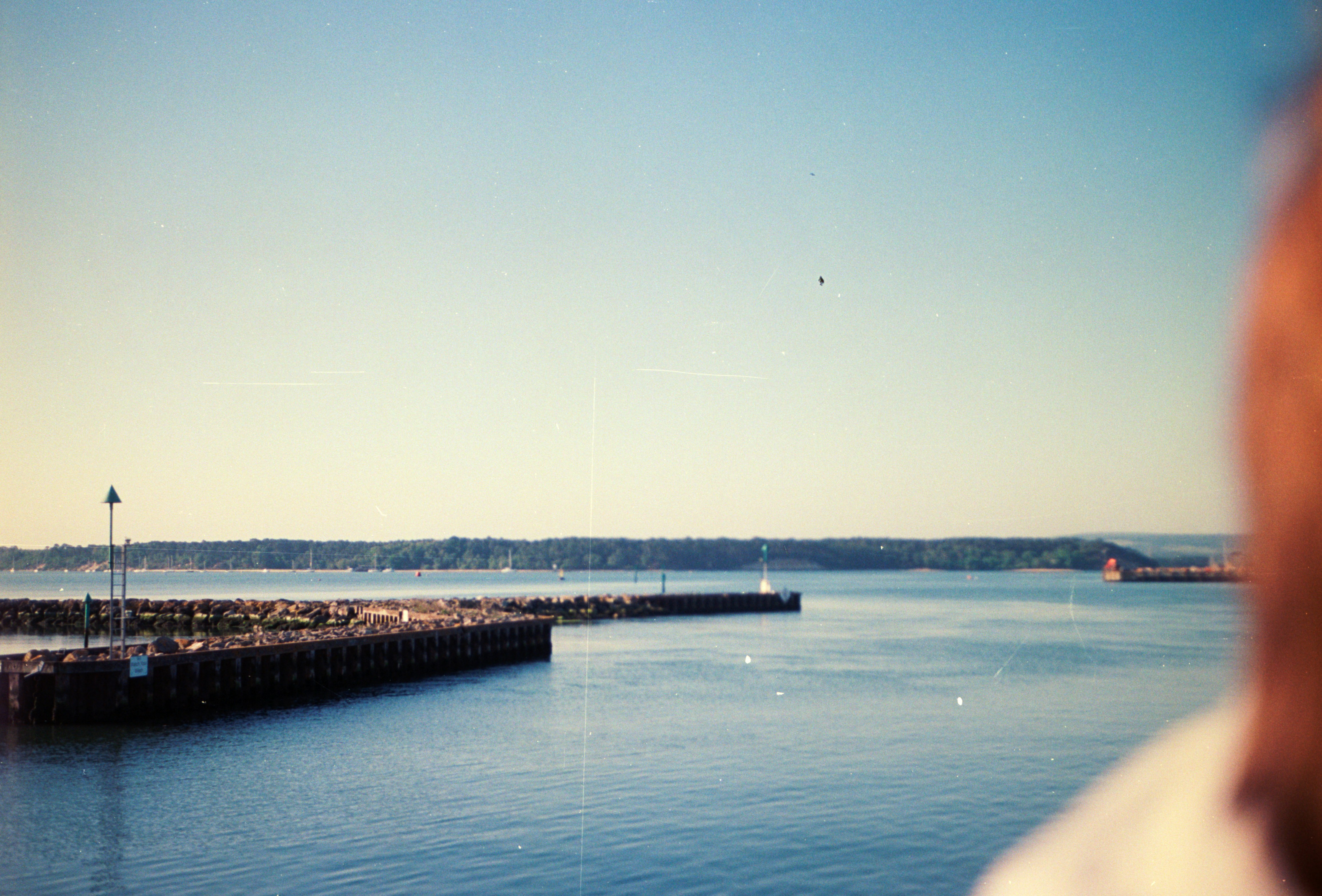 Photo by anniespratt