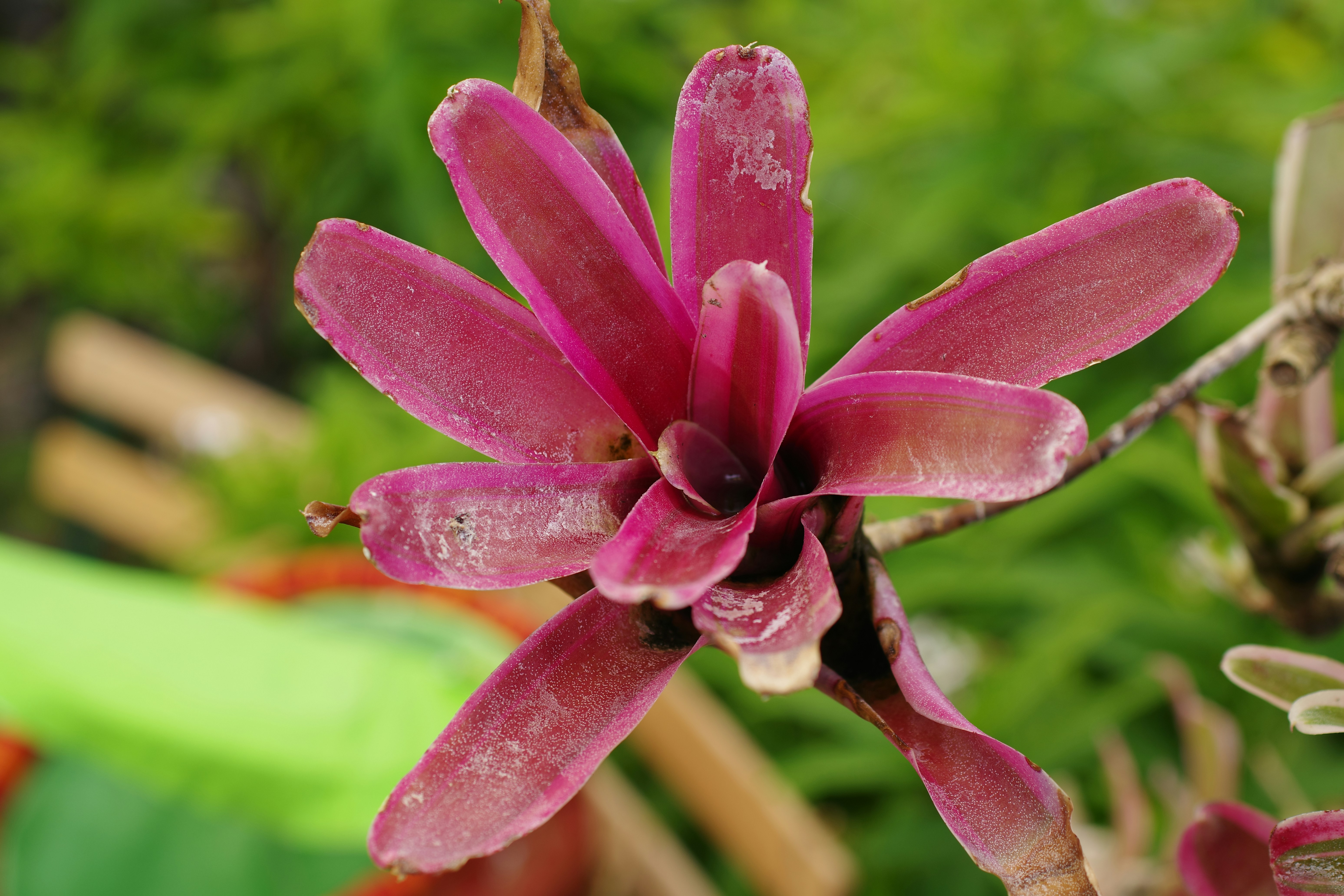 媽啊！99%的人都不知道，這樣做家裡竟然乾淨到發光！