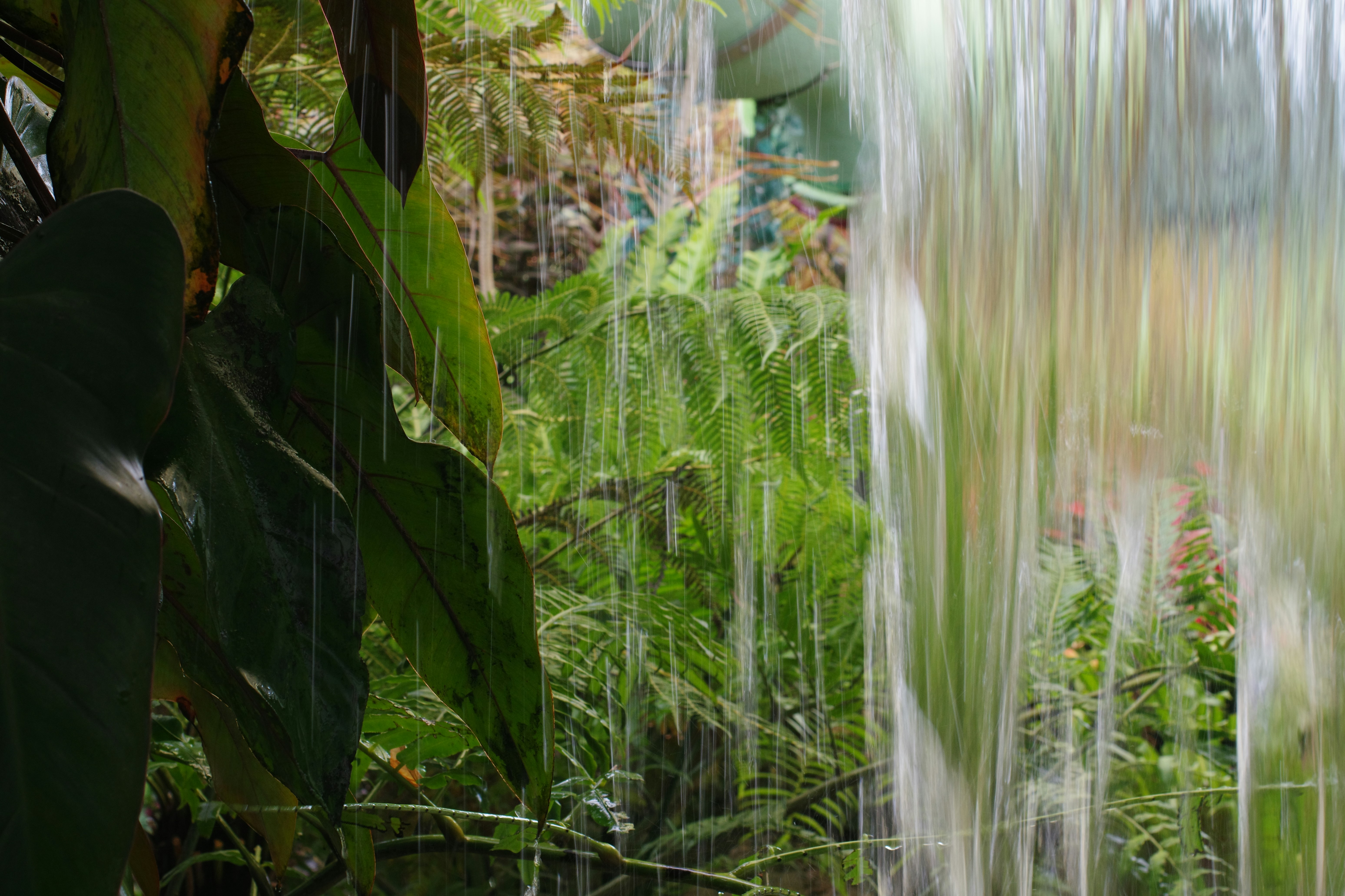 你家根本是細菌培養皿！這幾個家居死角，保證你看到崩潰！