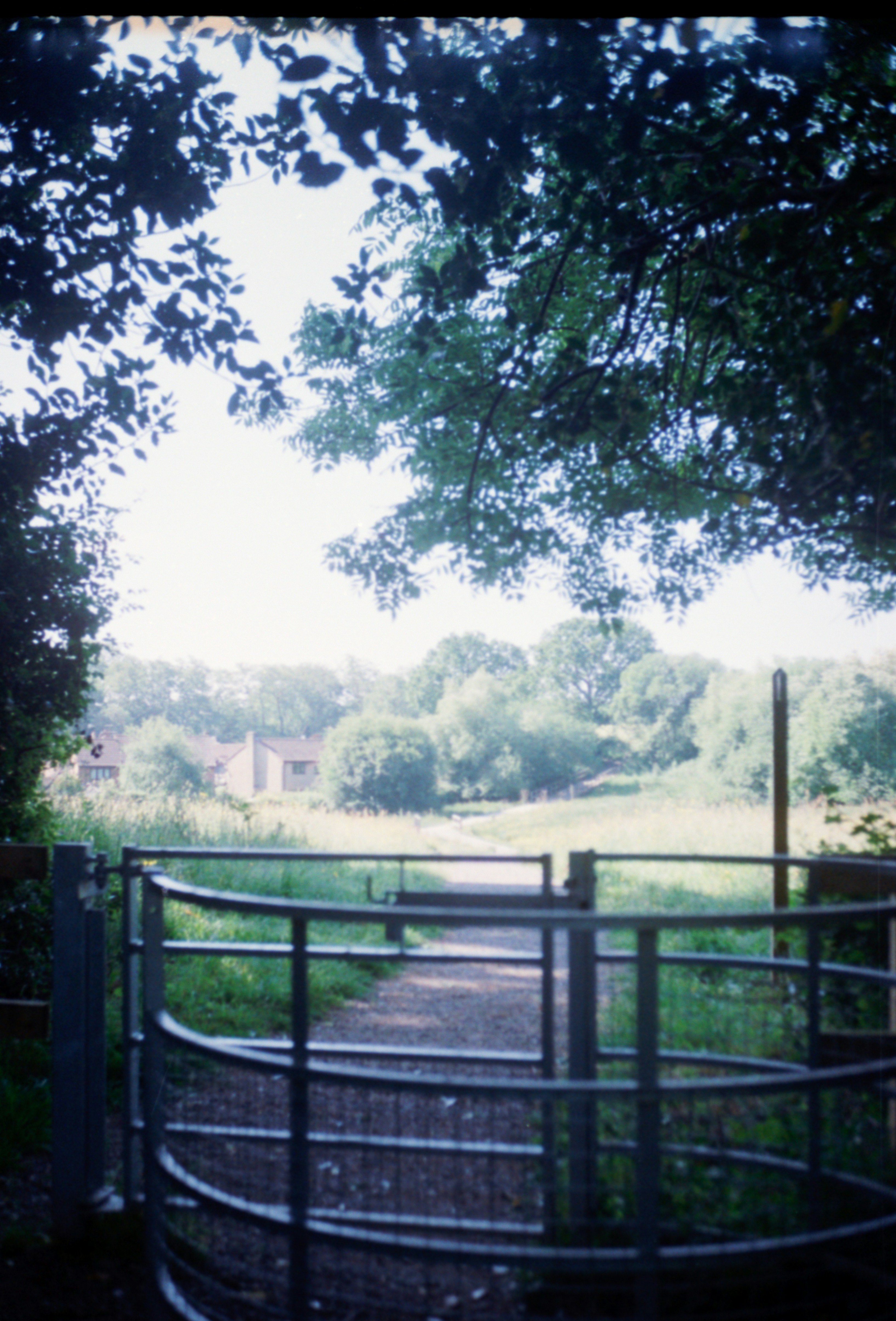 Photo by anniespratt