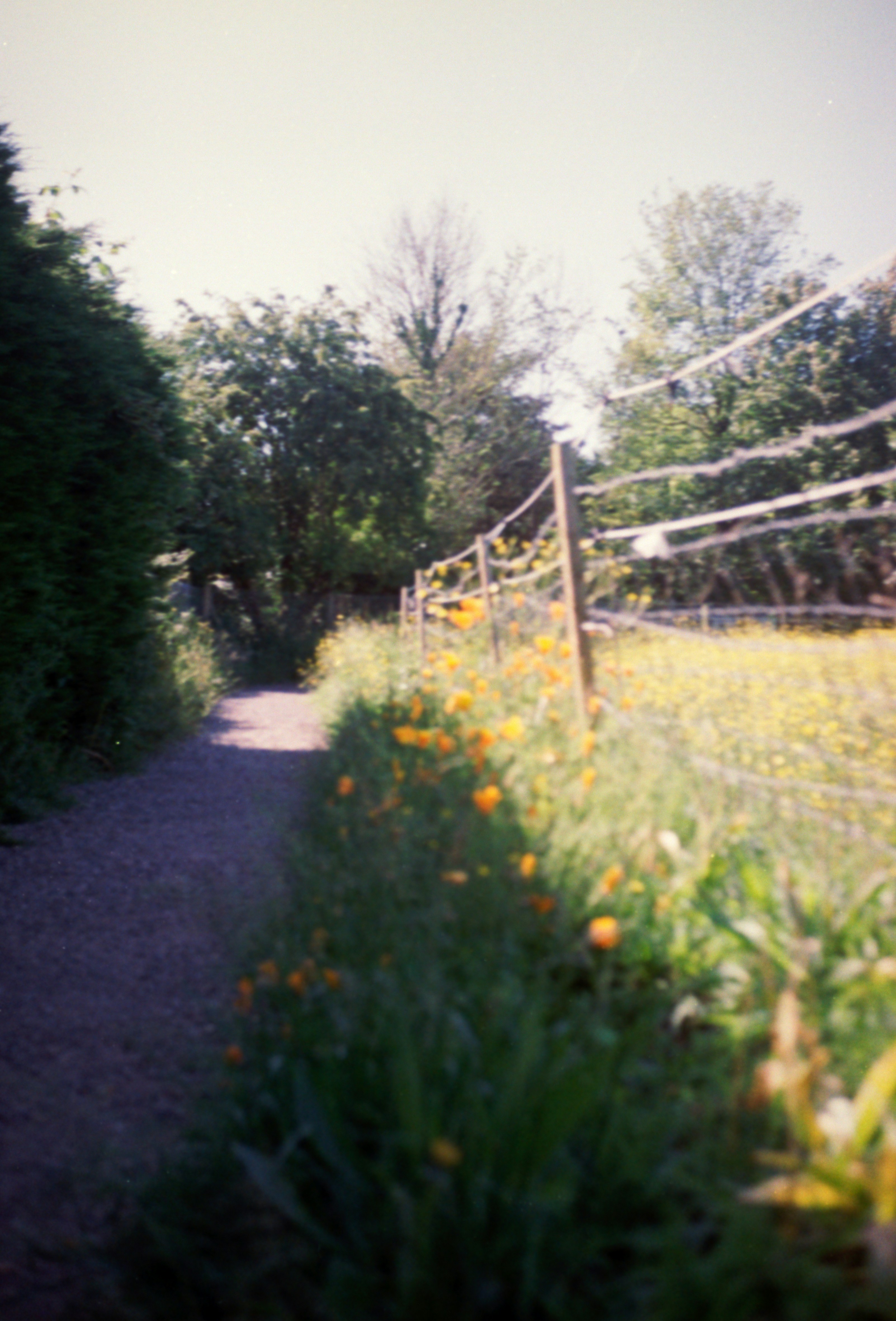 Photo by anniespratt