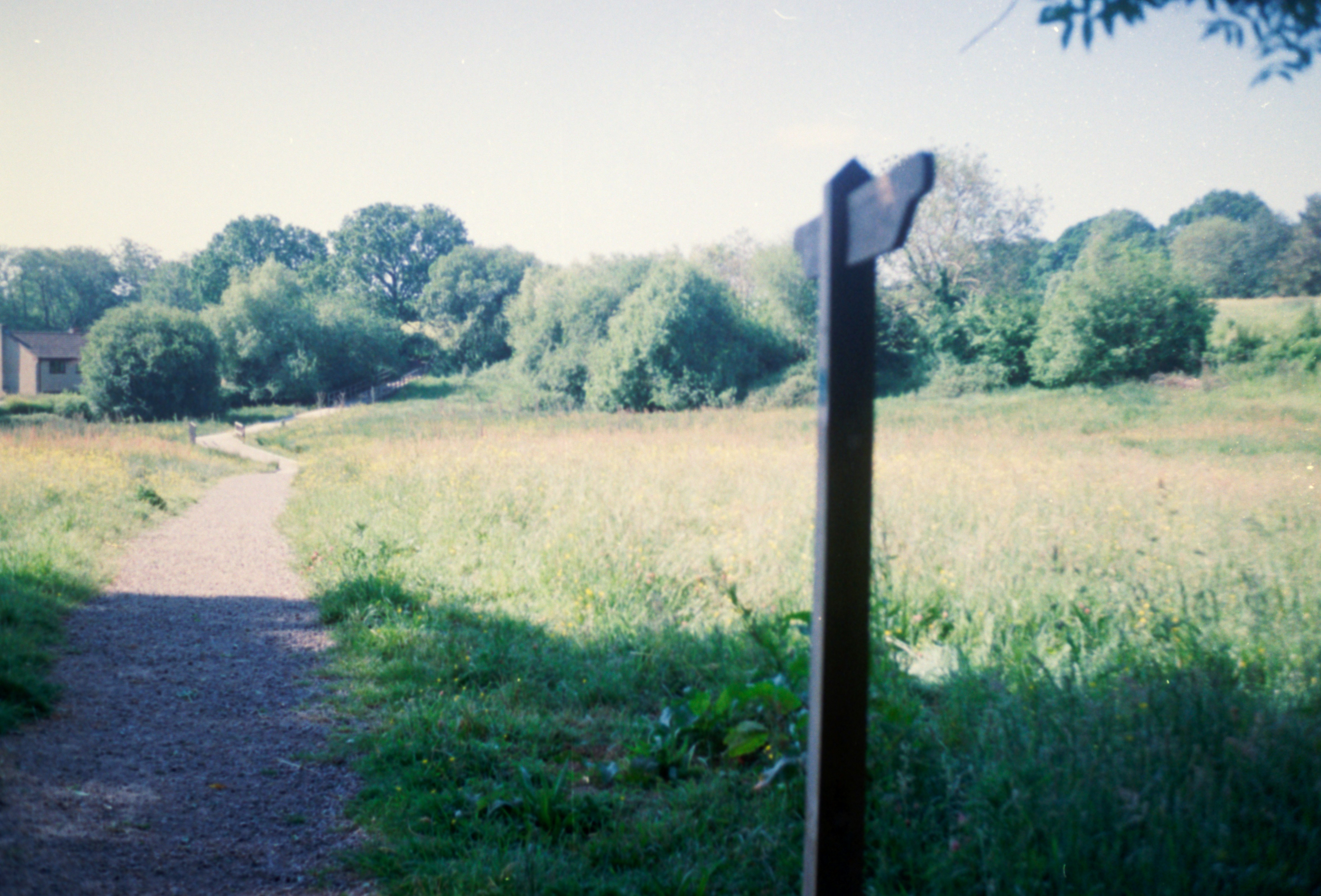 Photo by anniespratt