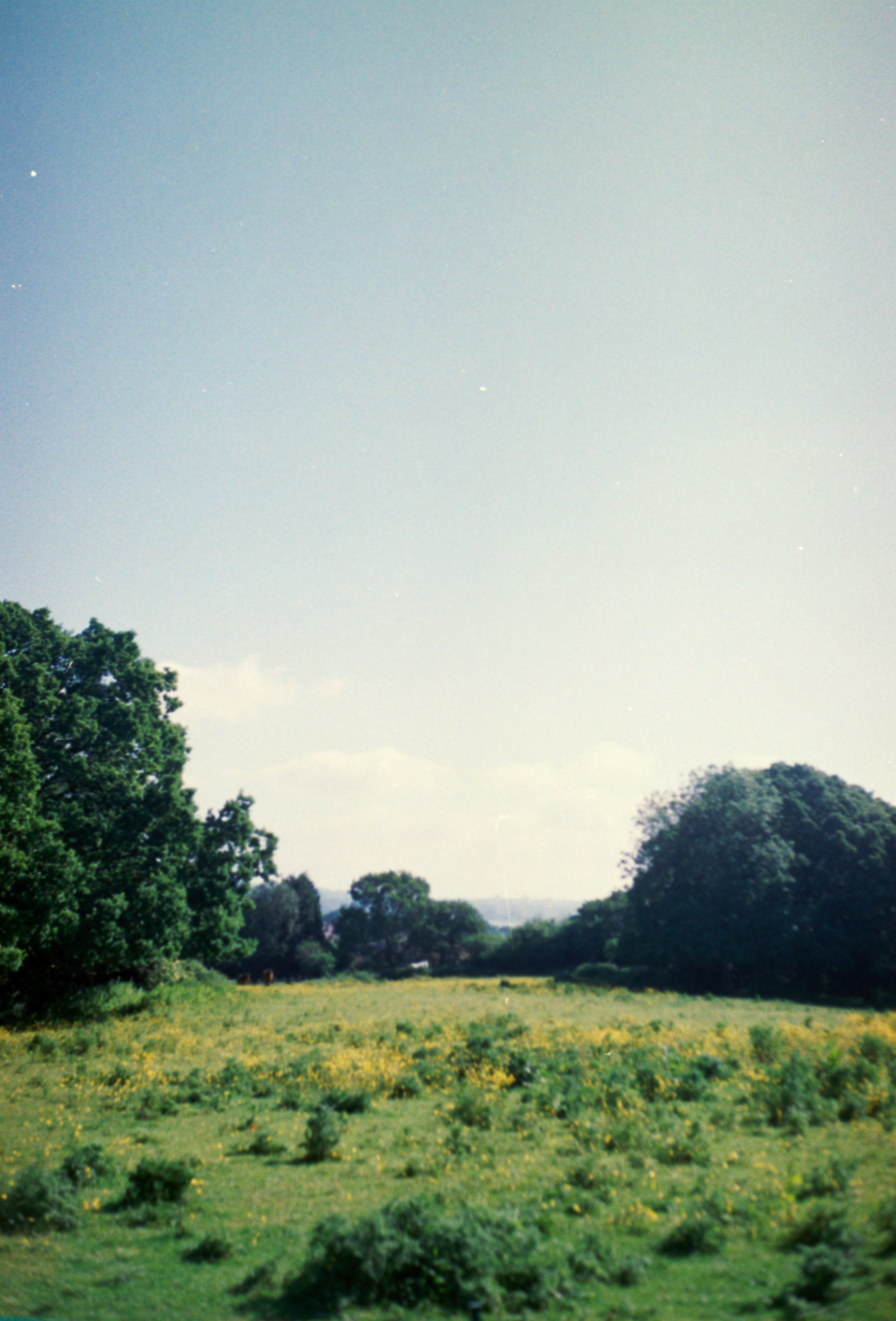 Photo by anniespratt