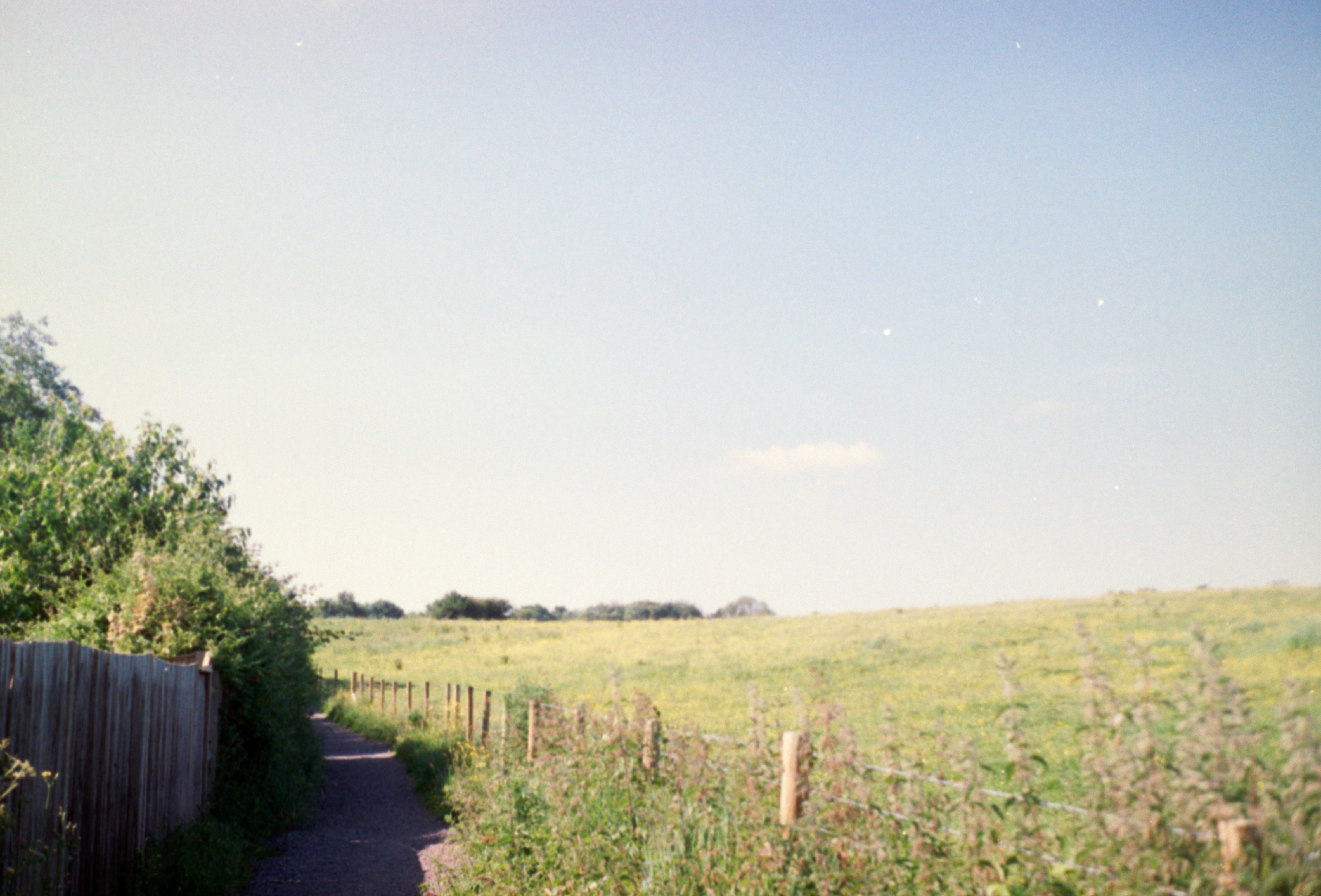 Photo by anniespratt