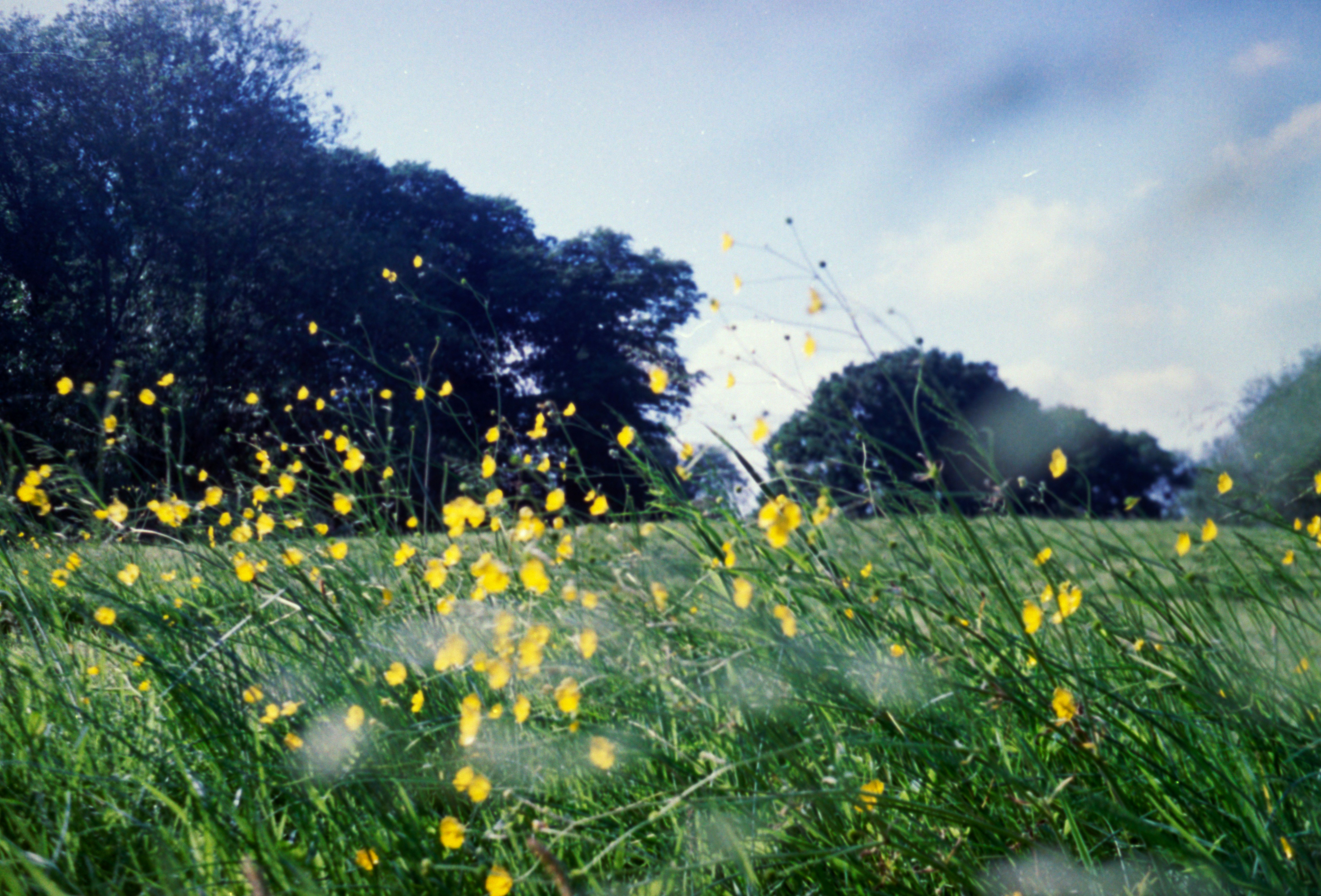 Photo by anniespratt