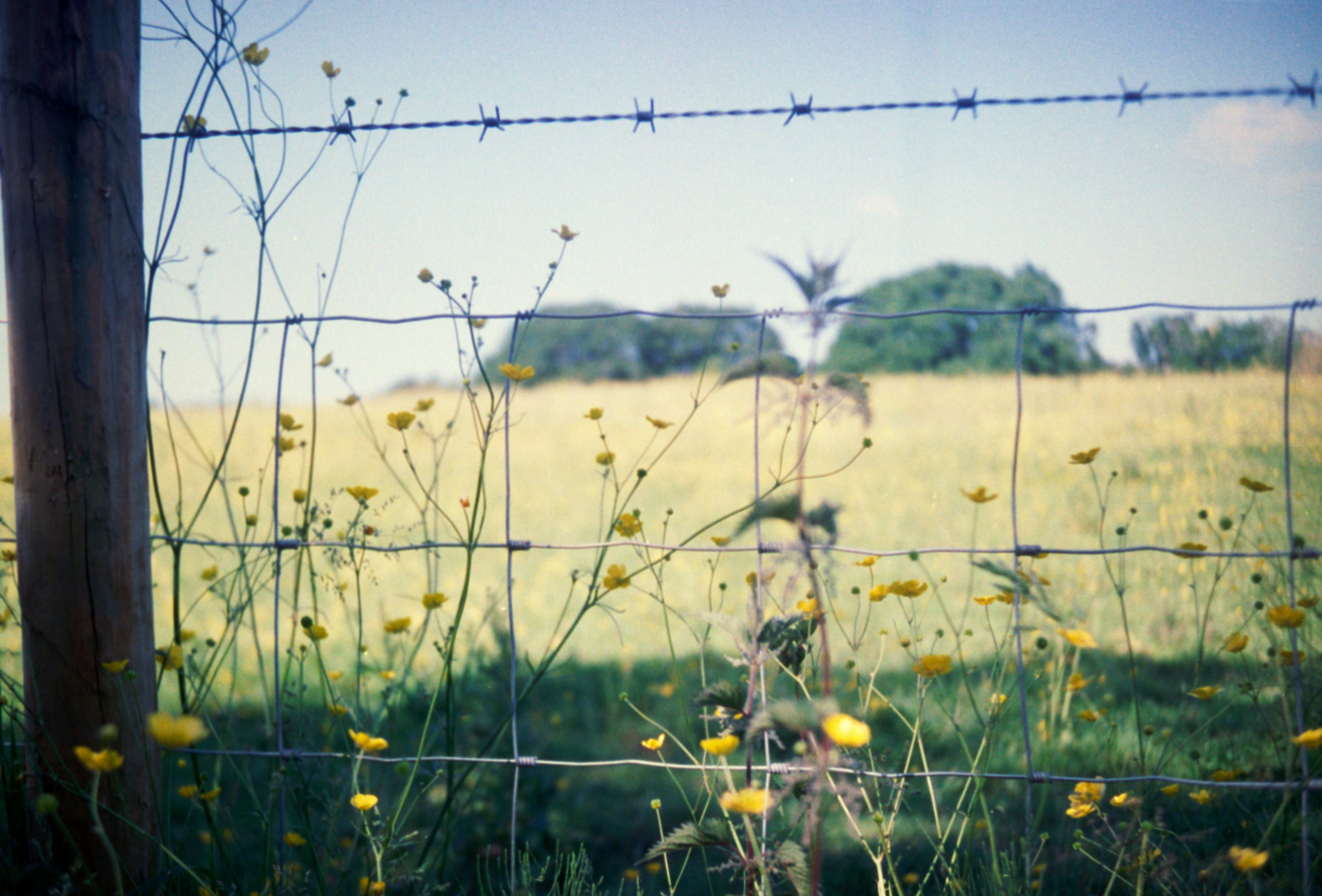 Photo by anniespratt
