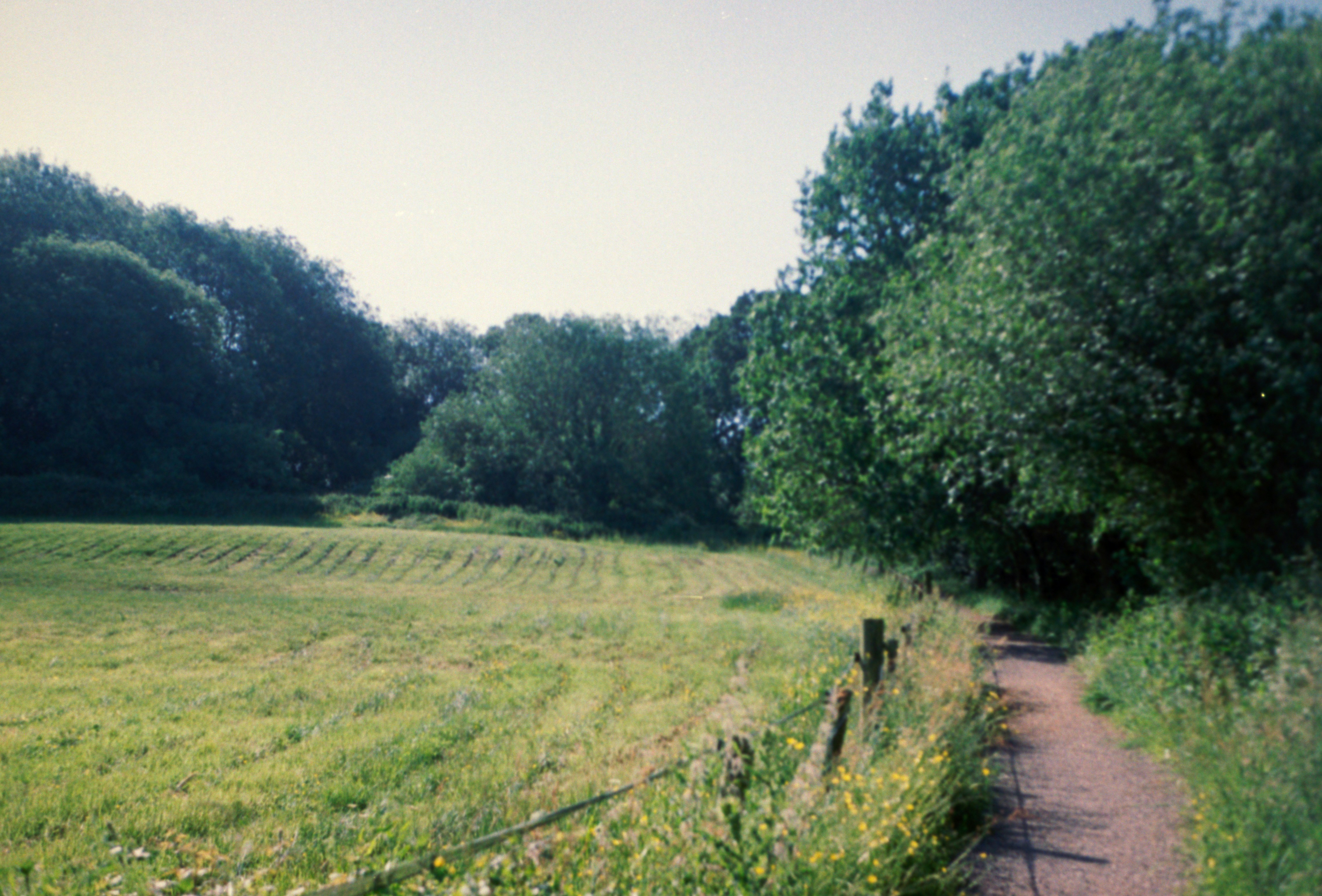 Photo by anniespratt