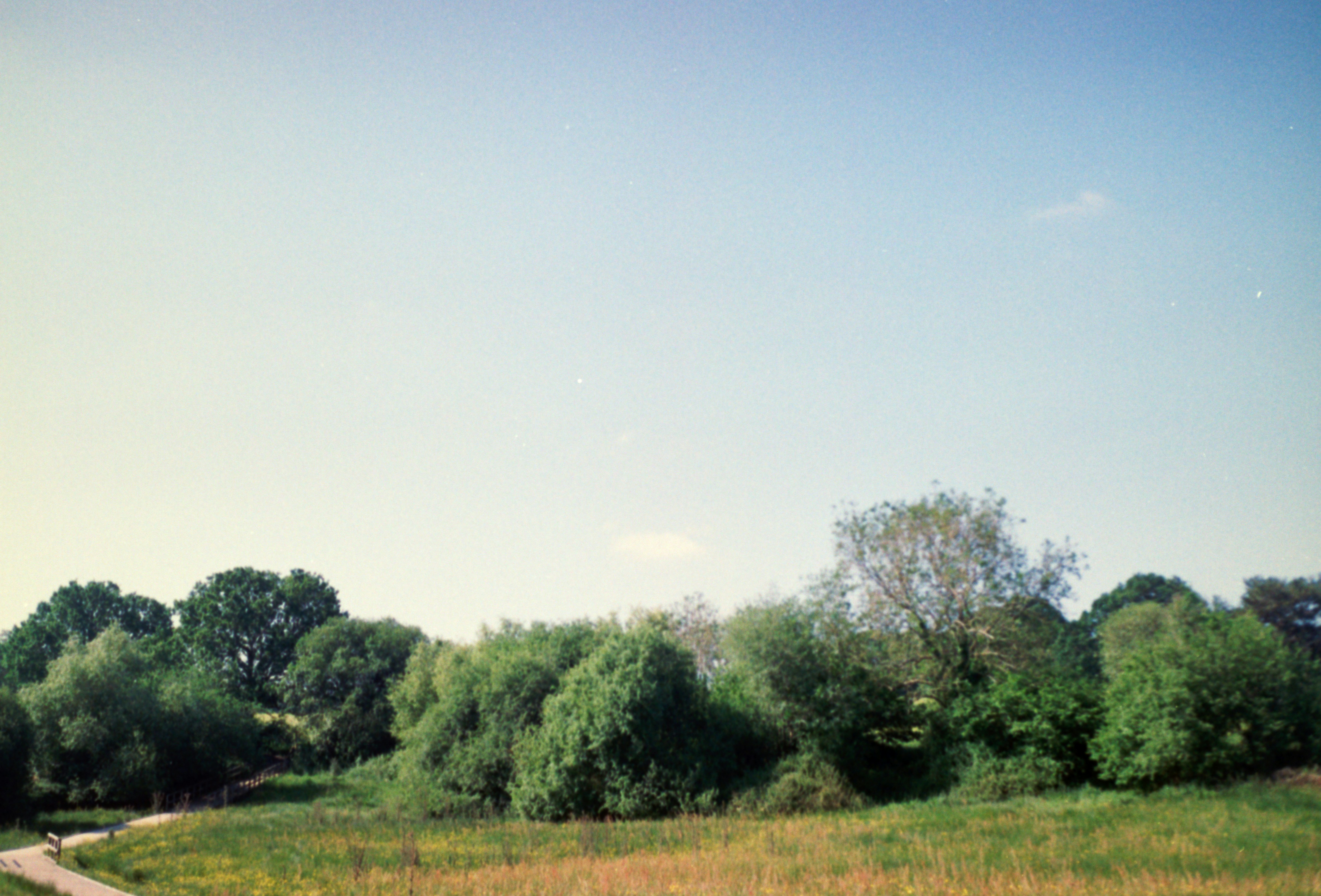 Photo by anniespratt