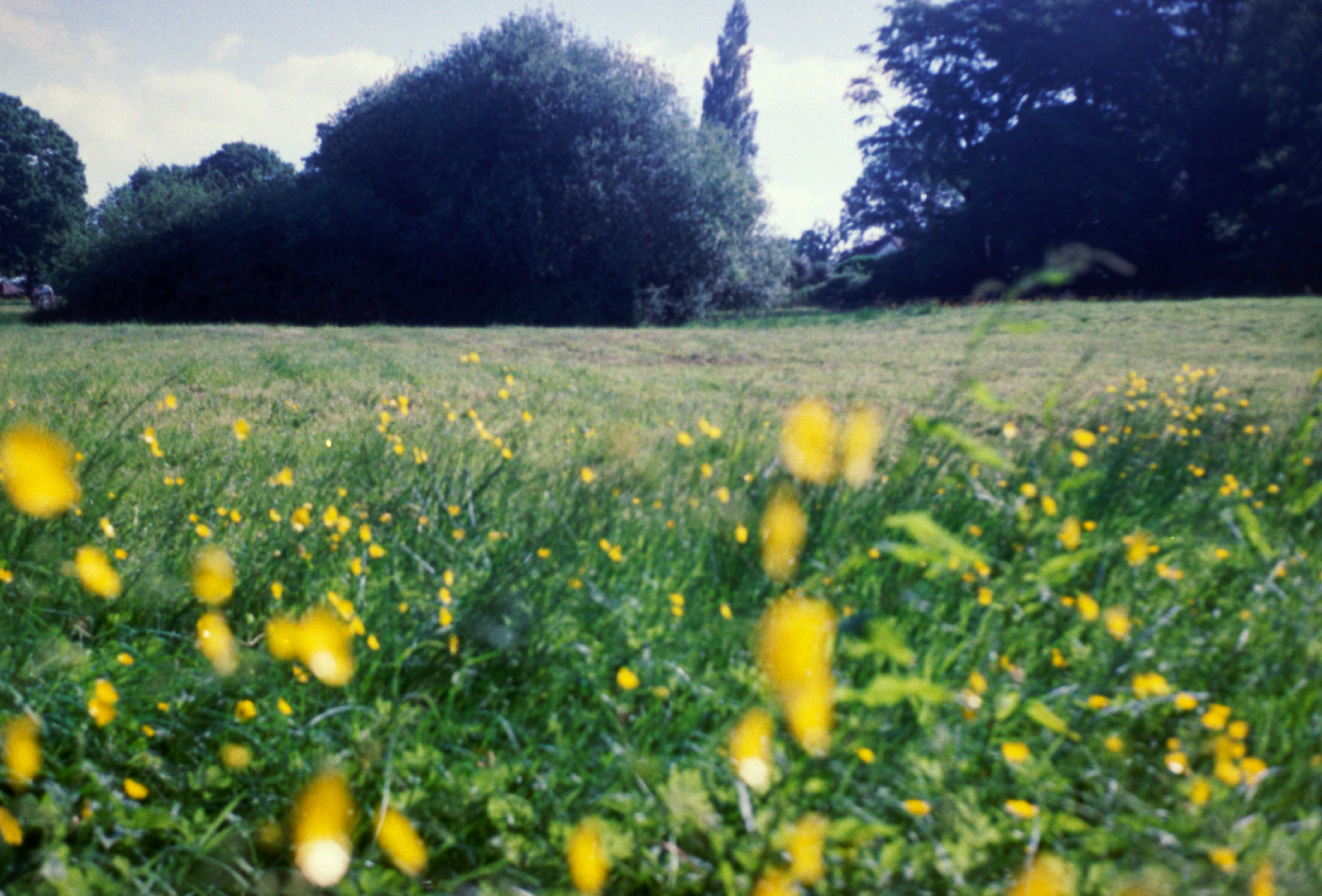 Photo by anniespratt