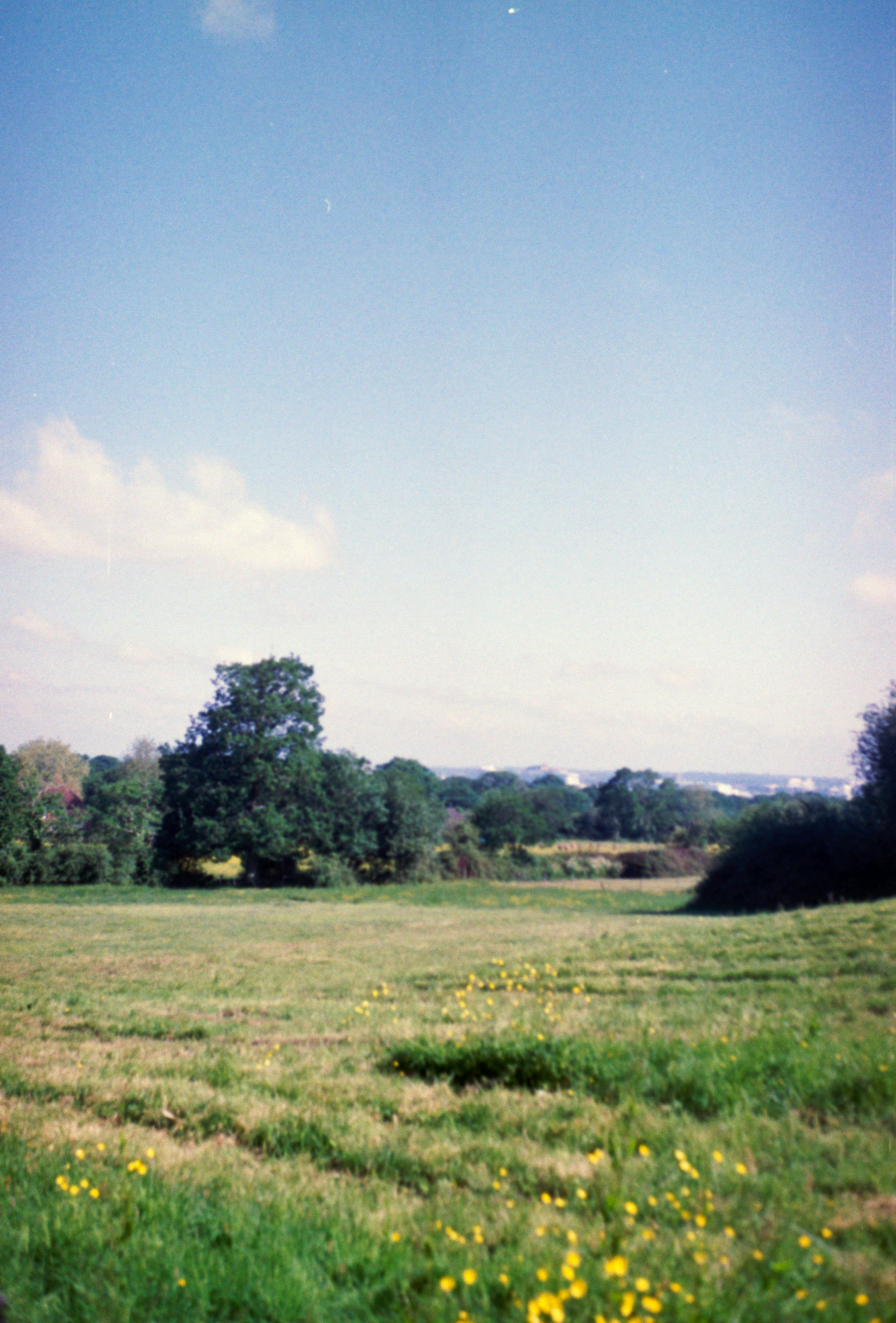 Photo by anniespratt