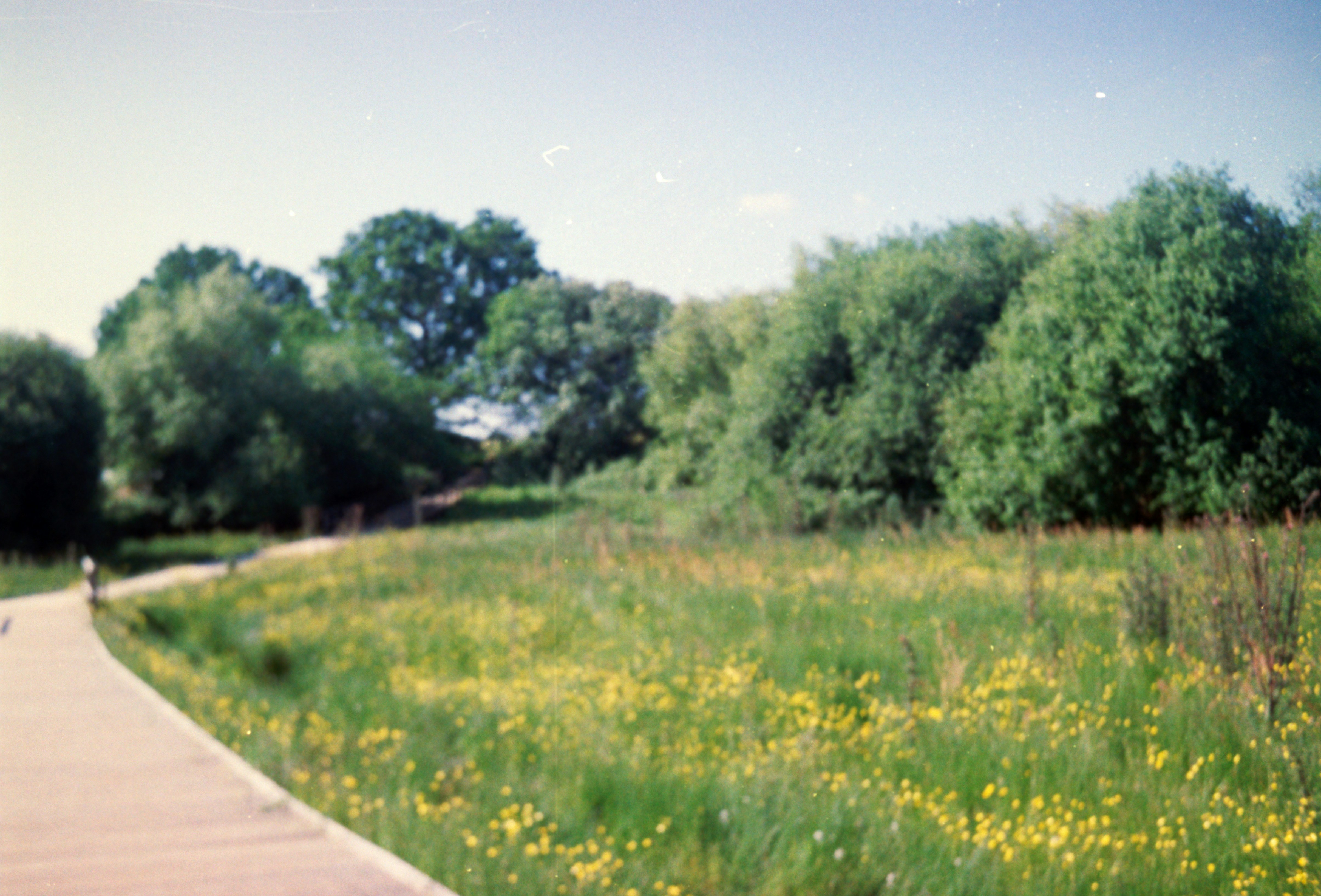 Photo by anniespratt