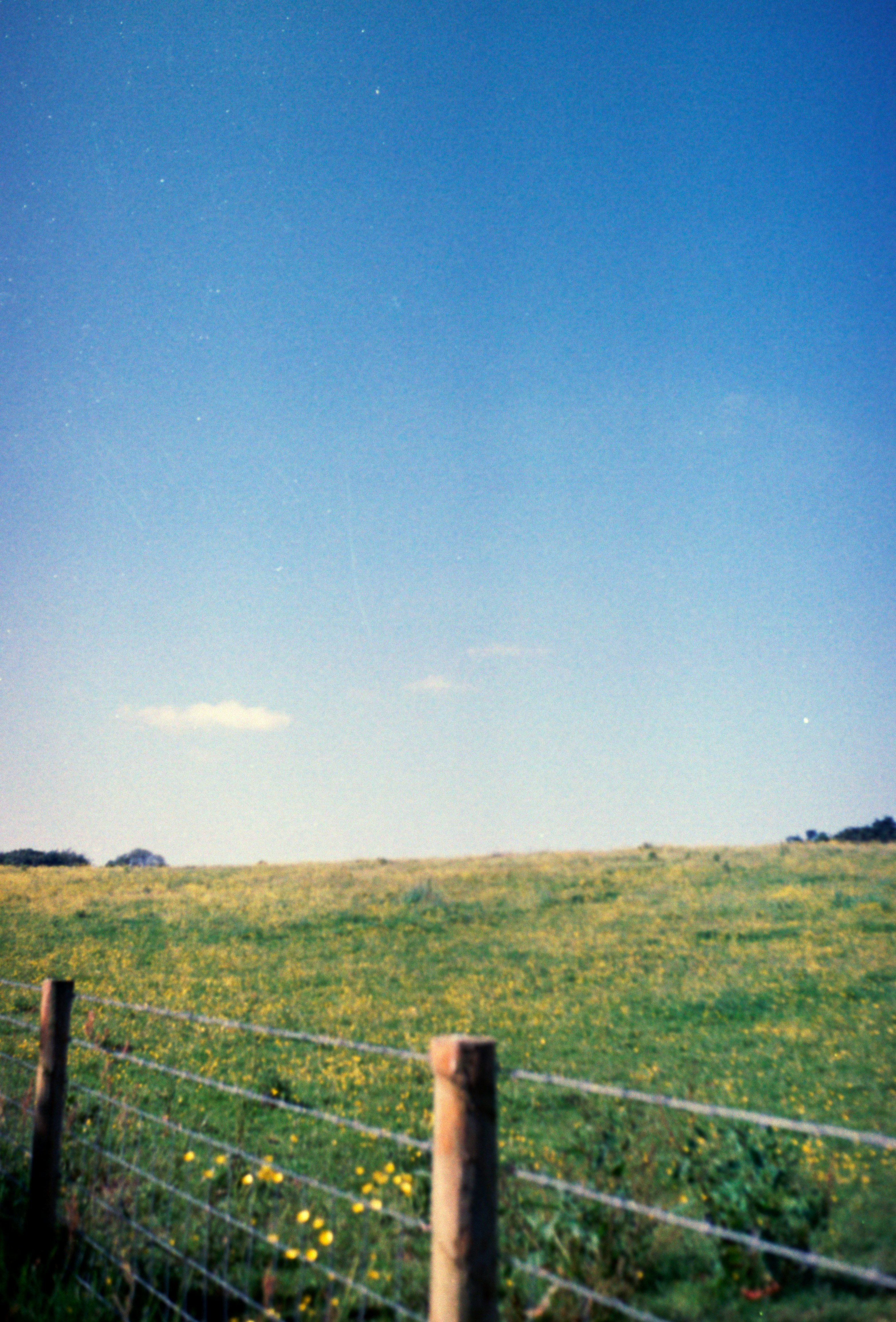 Photo by anniespratt