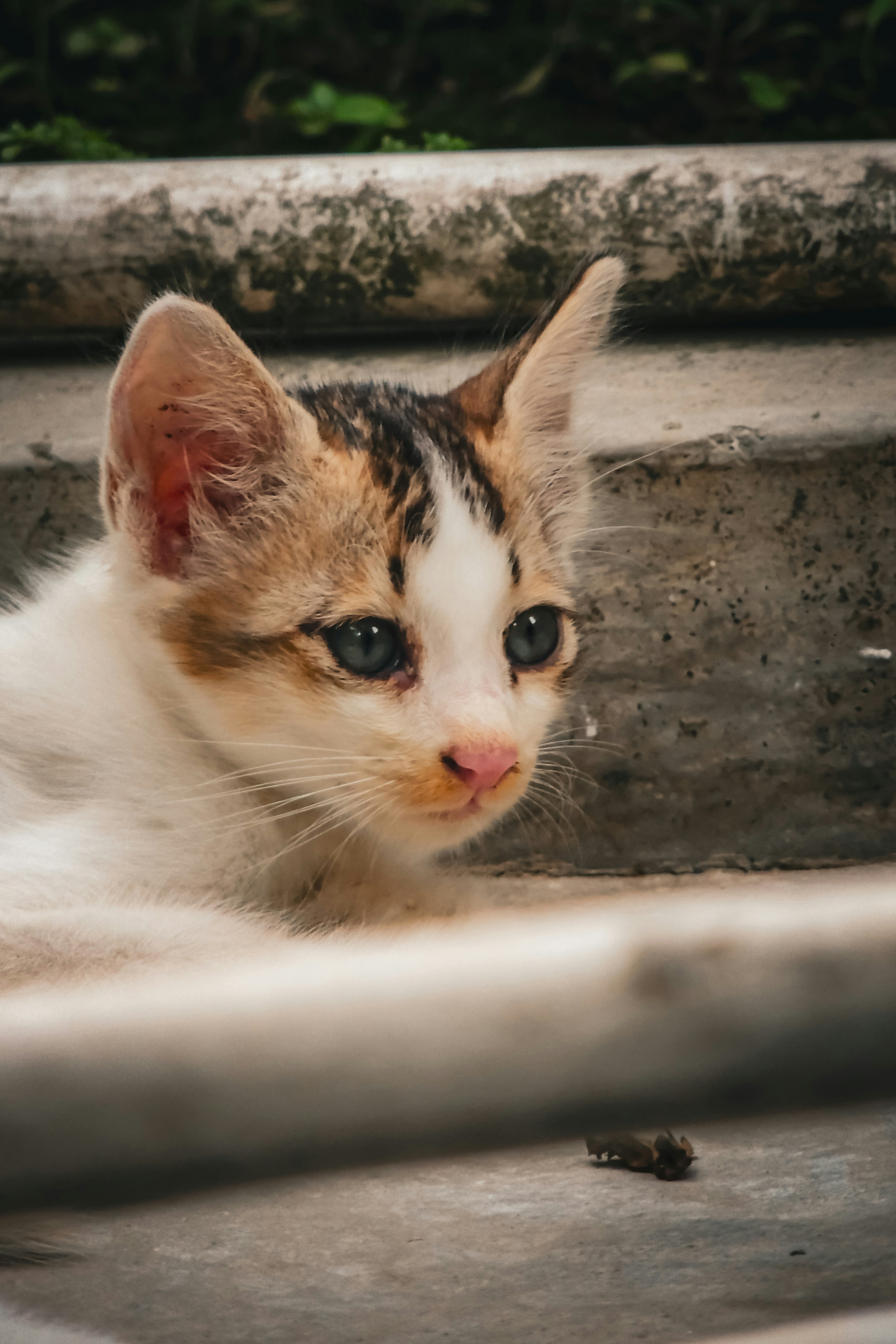 Photo by monoswita29