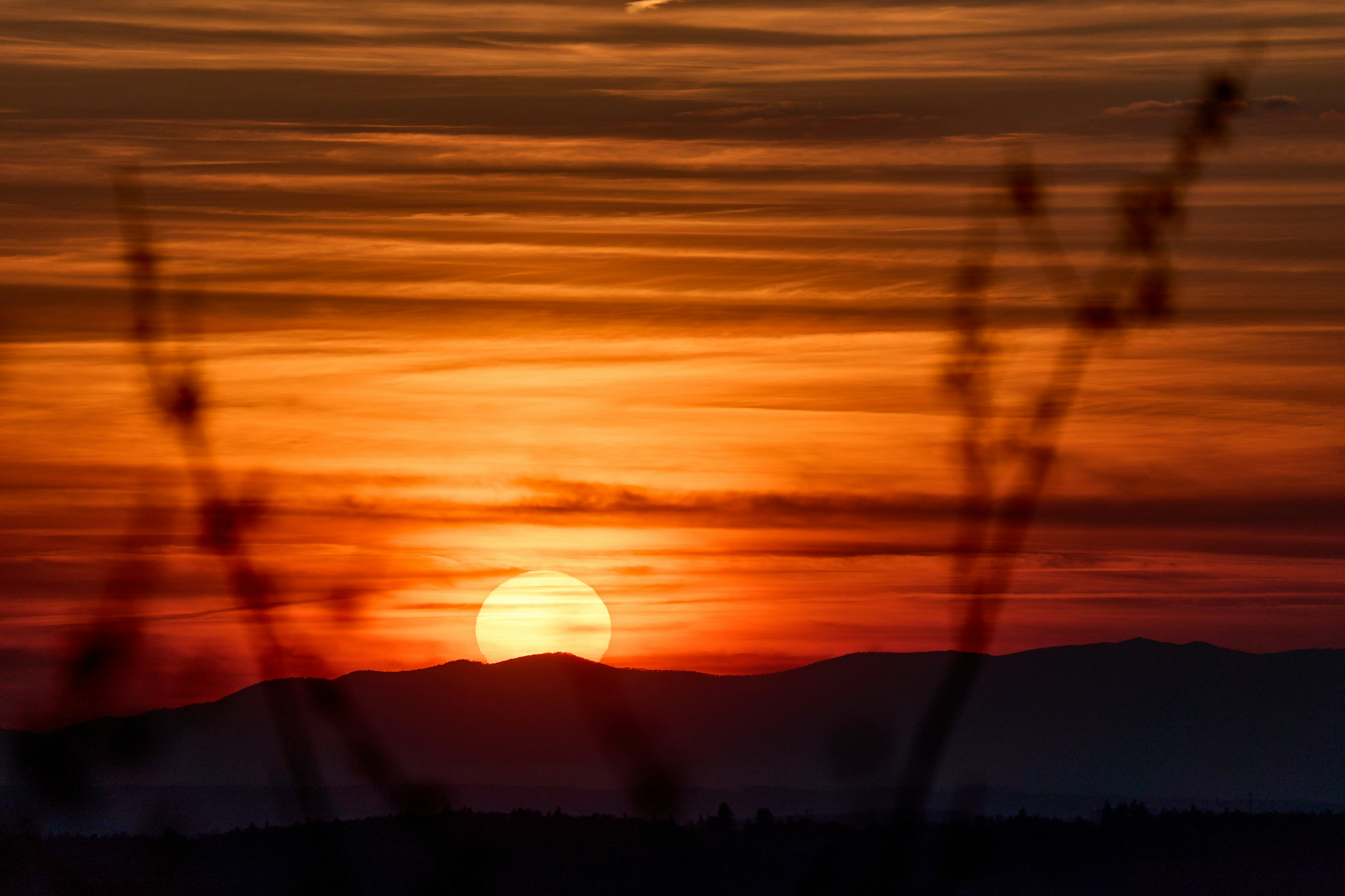 Photo by wolfgang_hasselmann