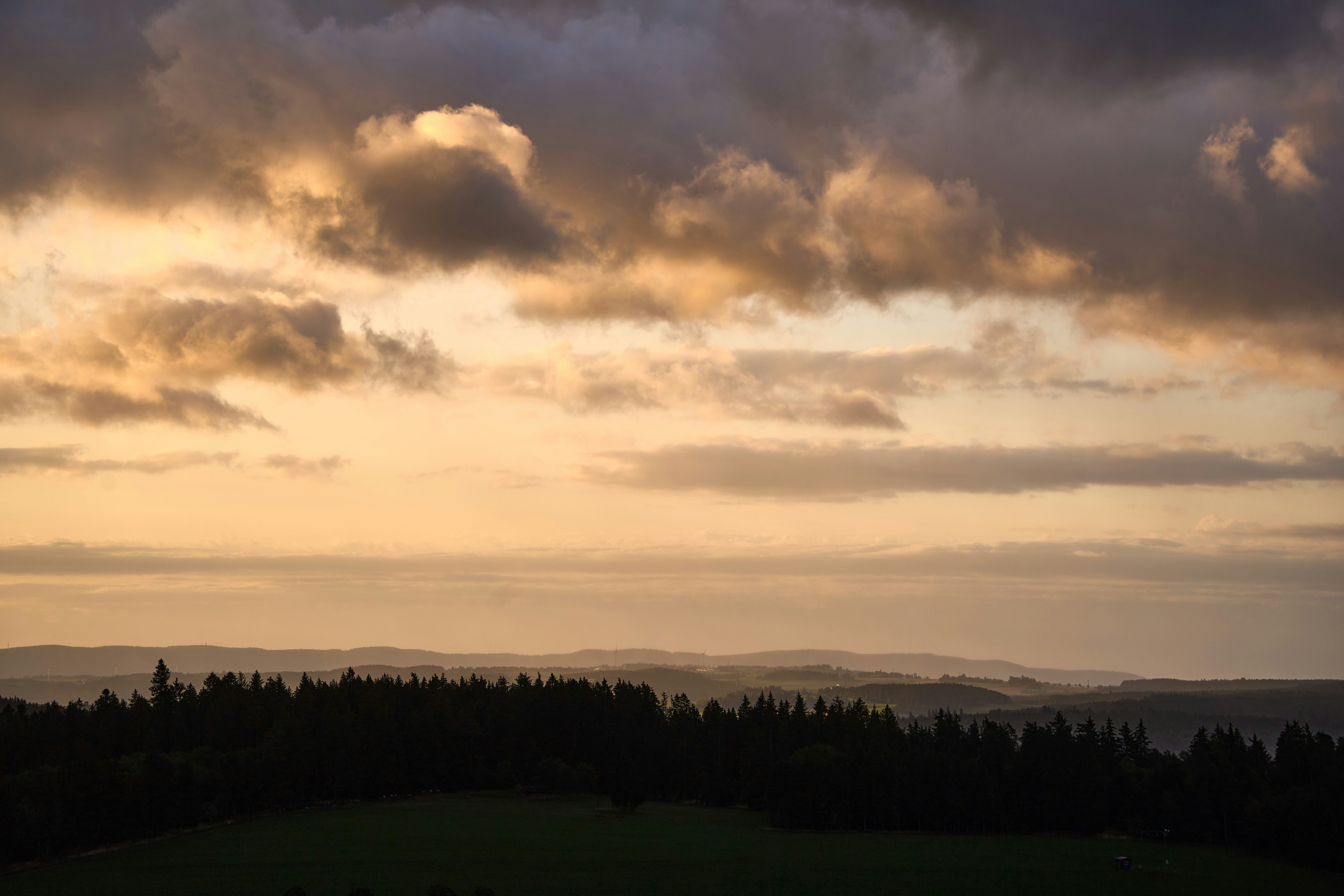 Photo by wolfgang_hasselmann