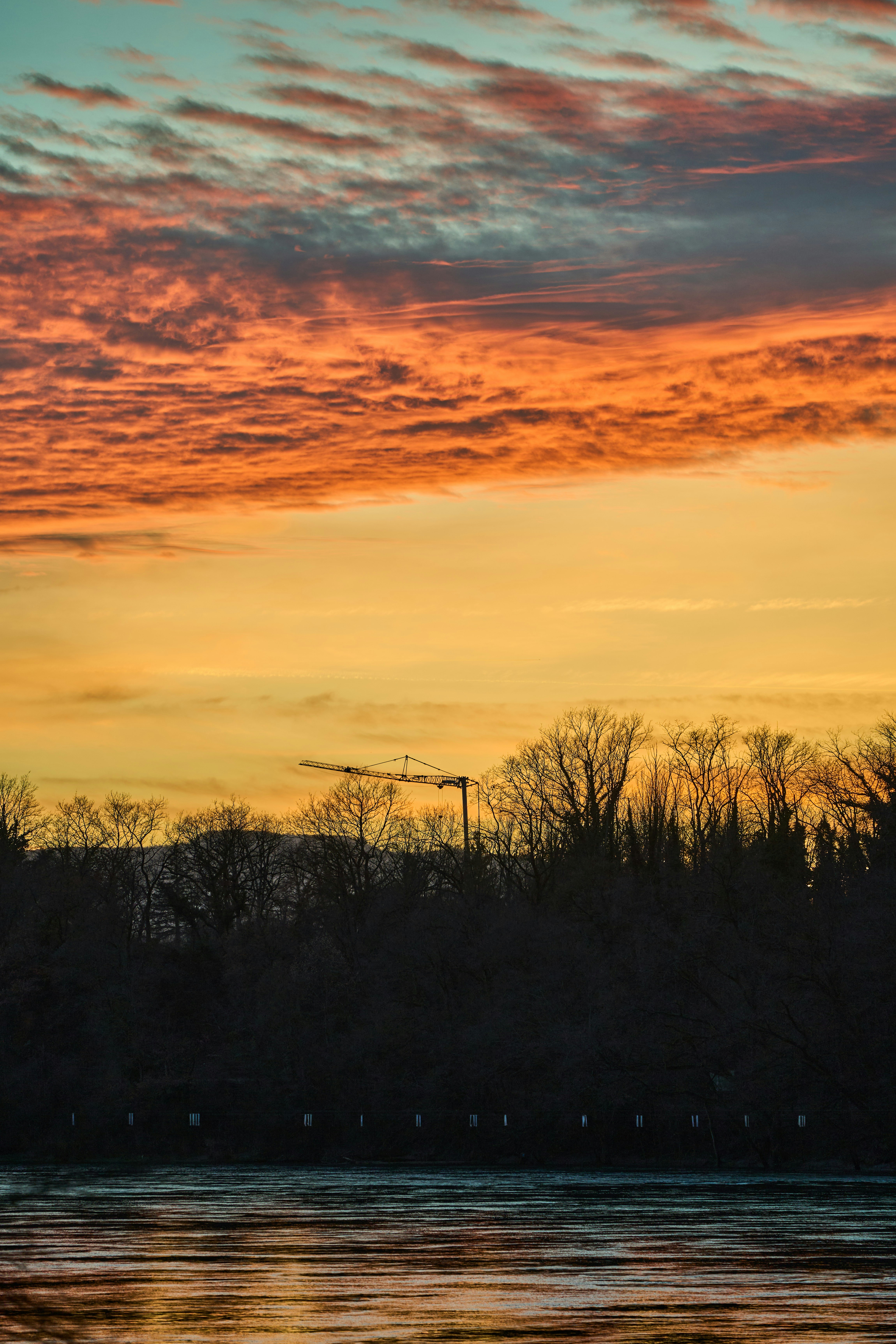 Photo by wolfgang_hasselmann