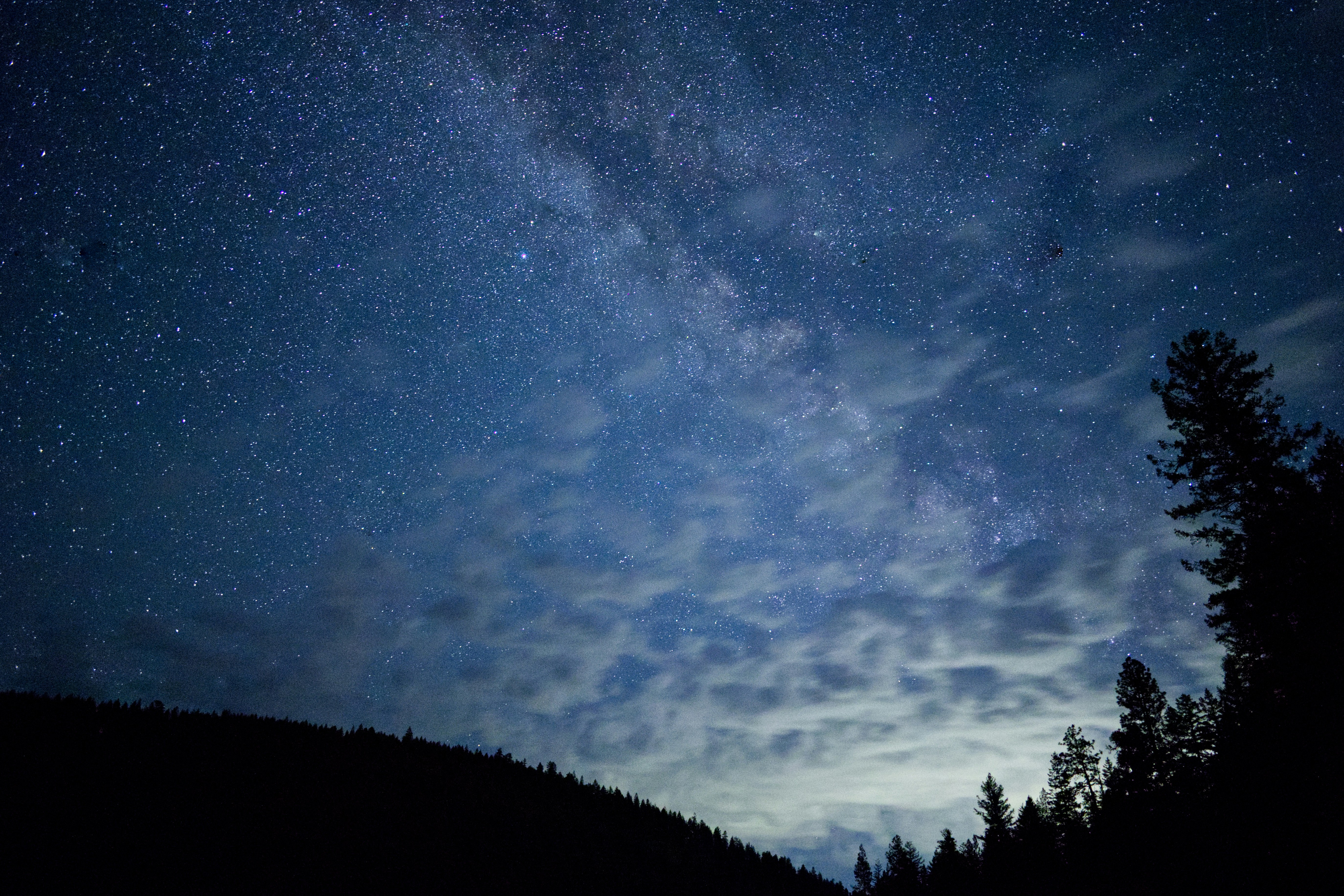 Photo by city2forest