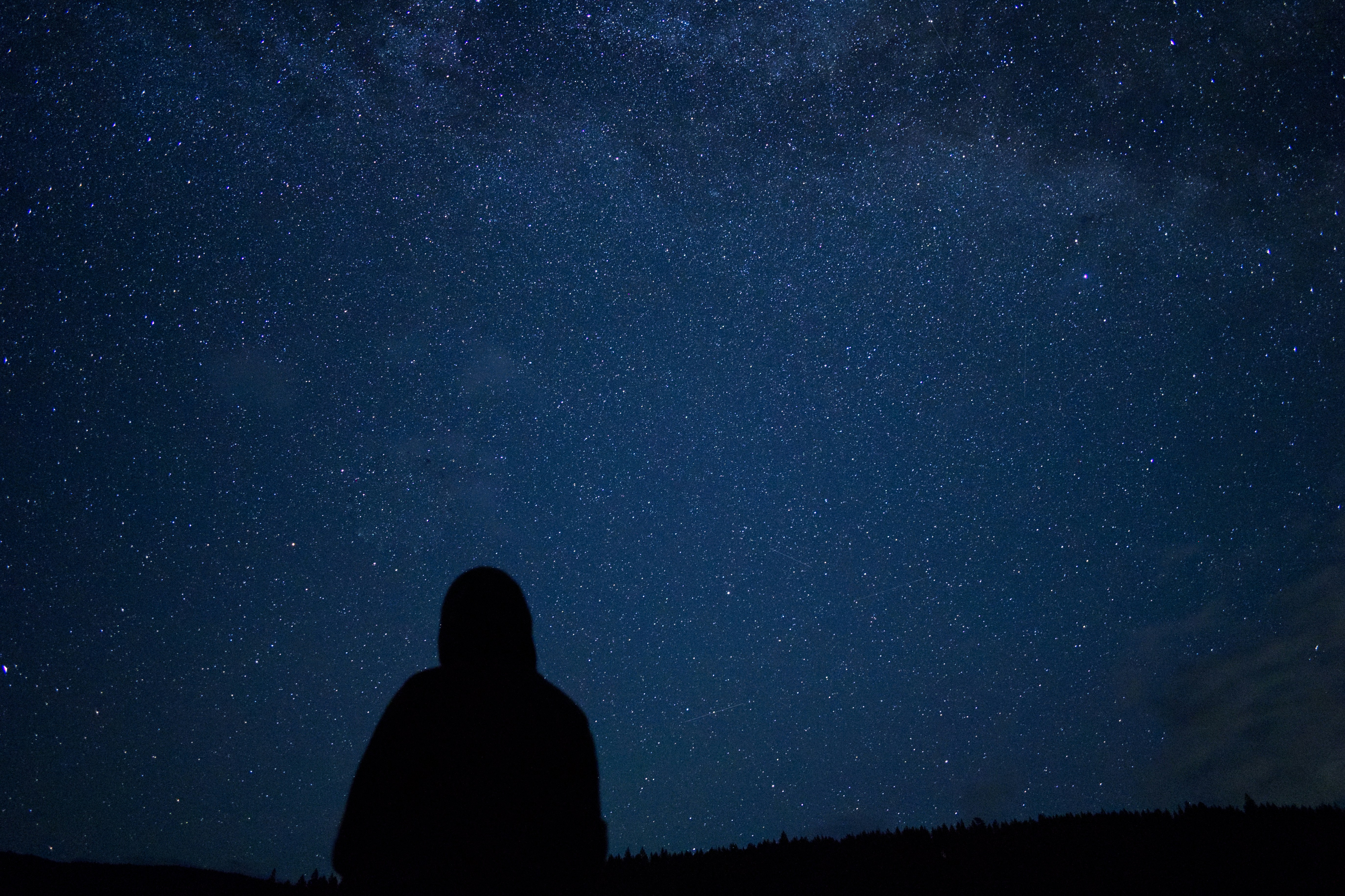 Photo by city2forest