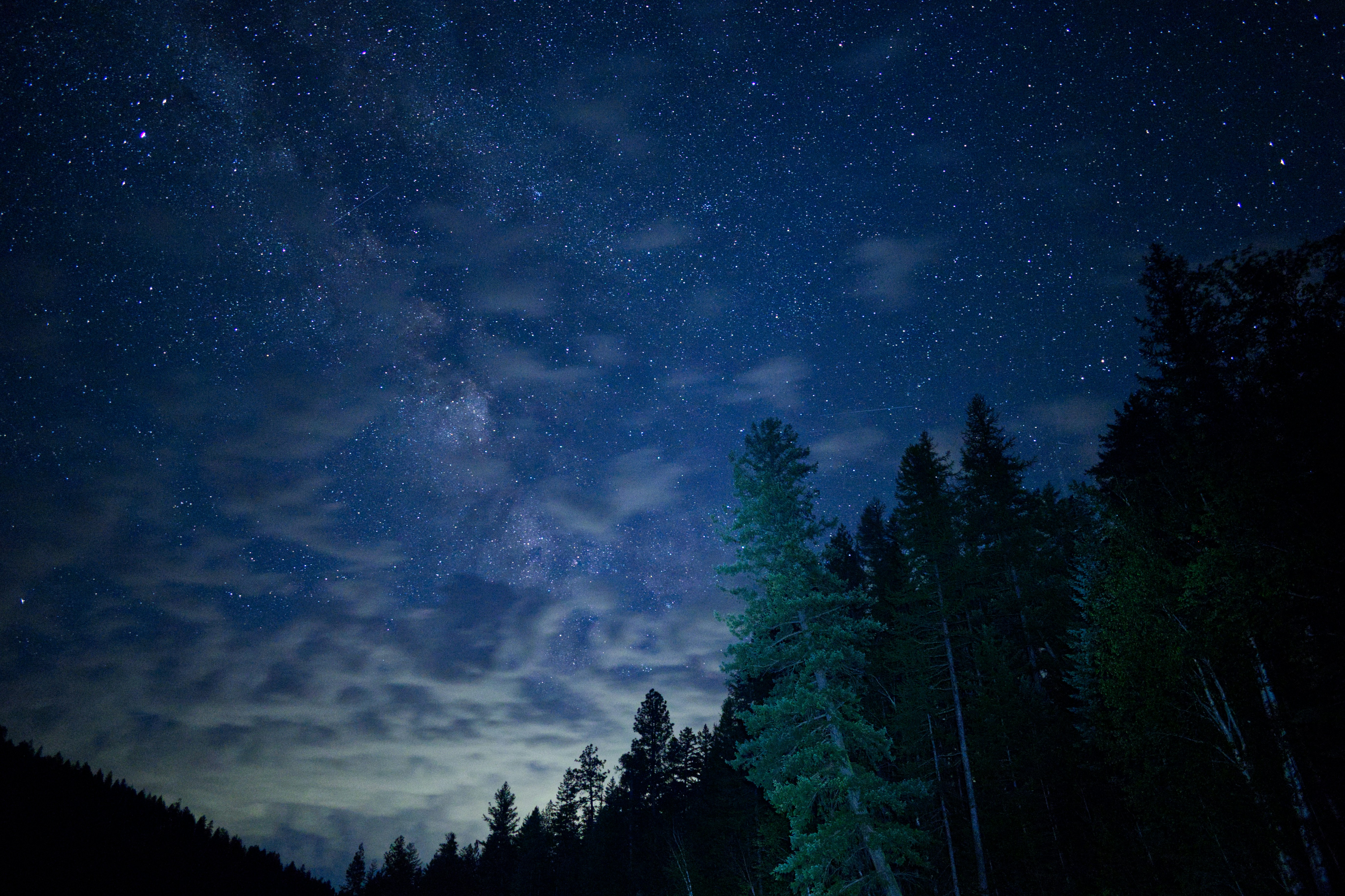 Photo by city2forest