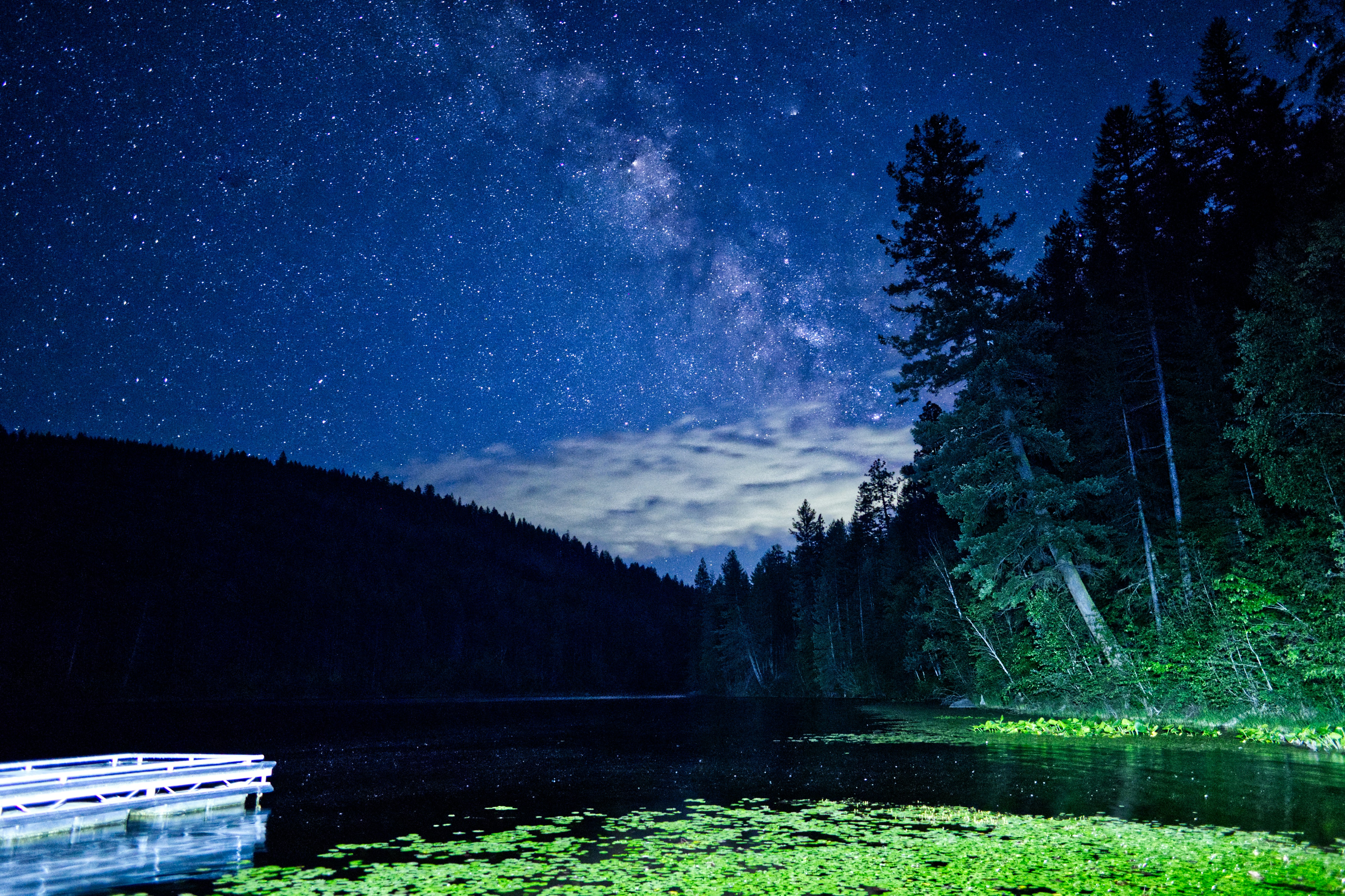 Photo by city2forest