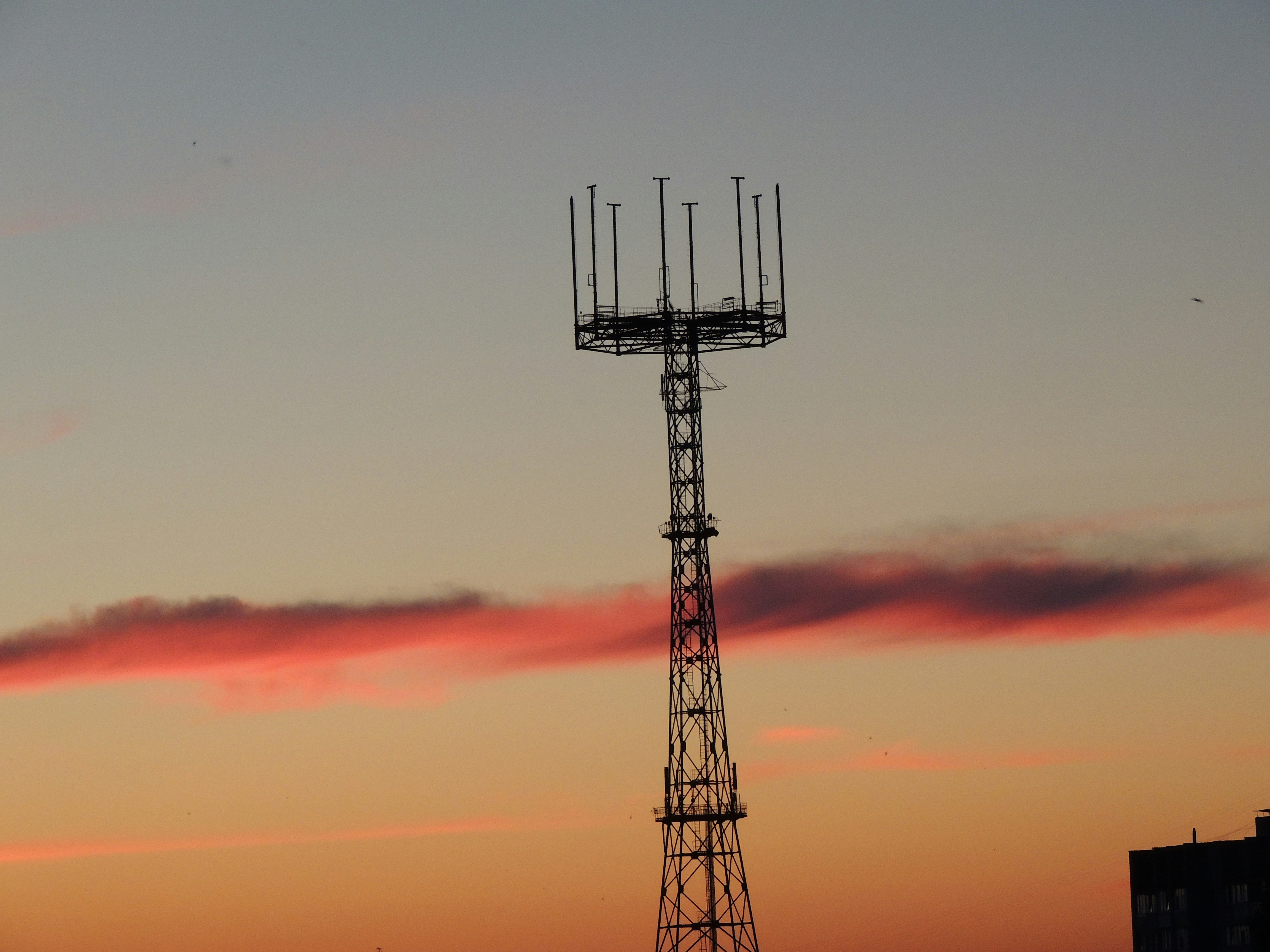 Photo by demonbenkei