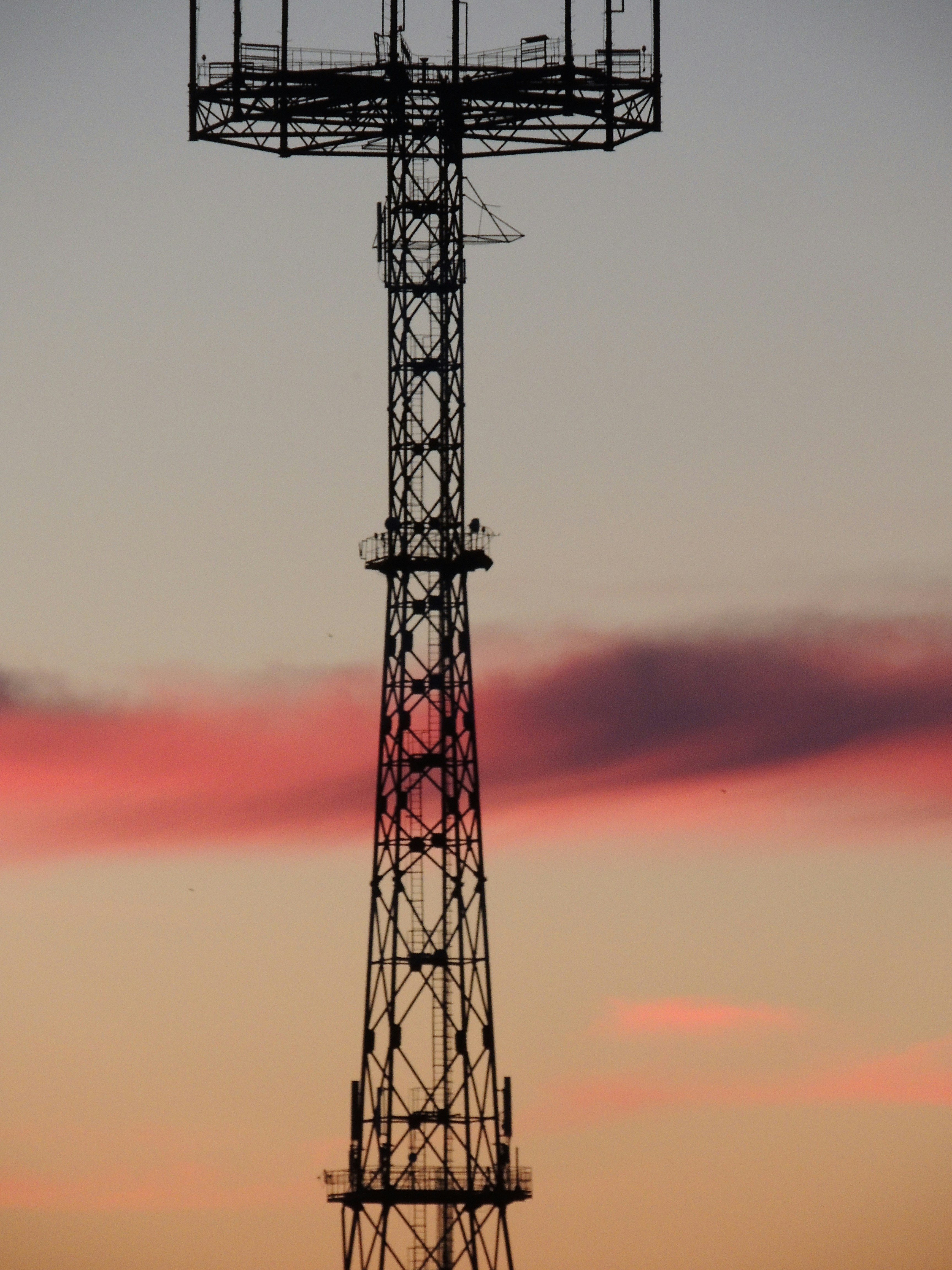 Photo by demonbenkei