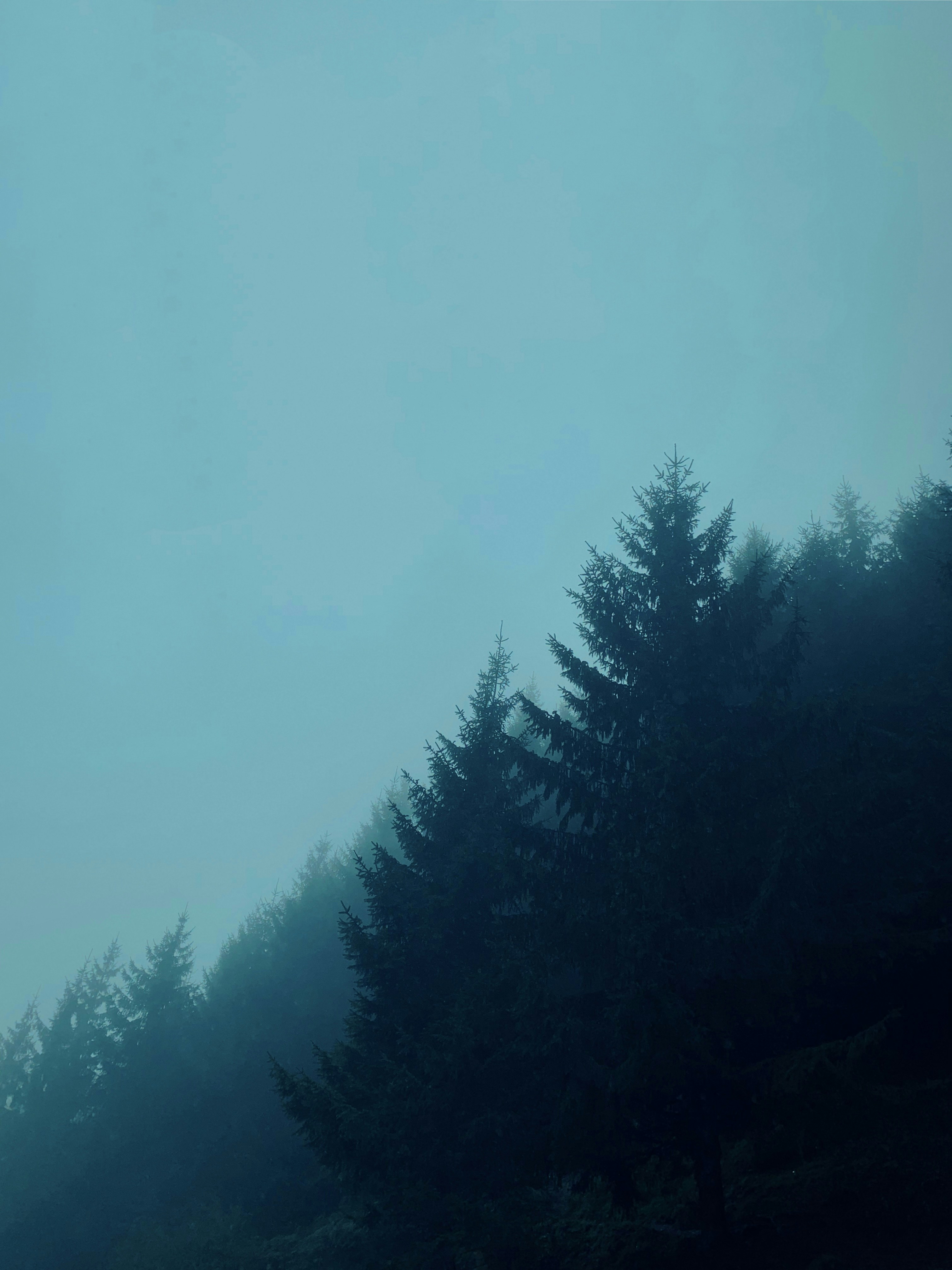 Photo by sinamombeiny