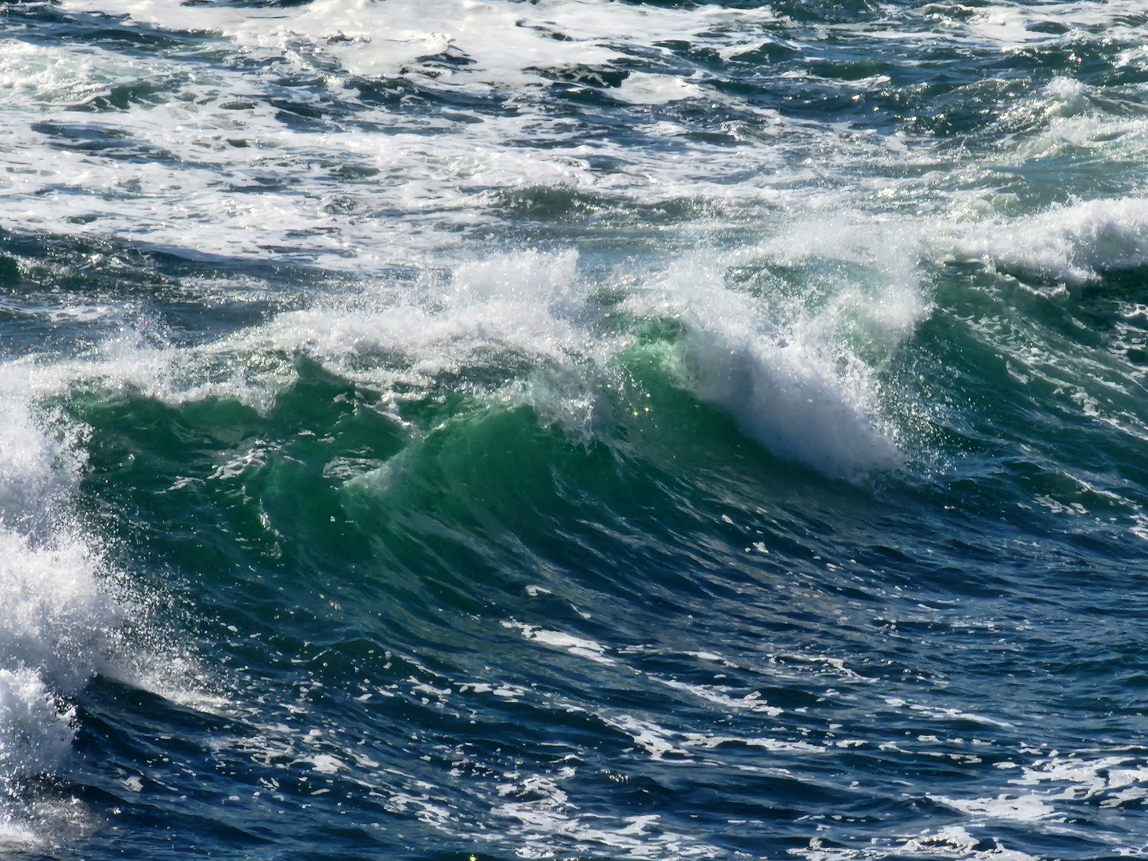 Photo by estephens72