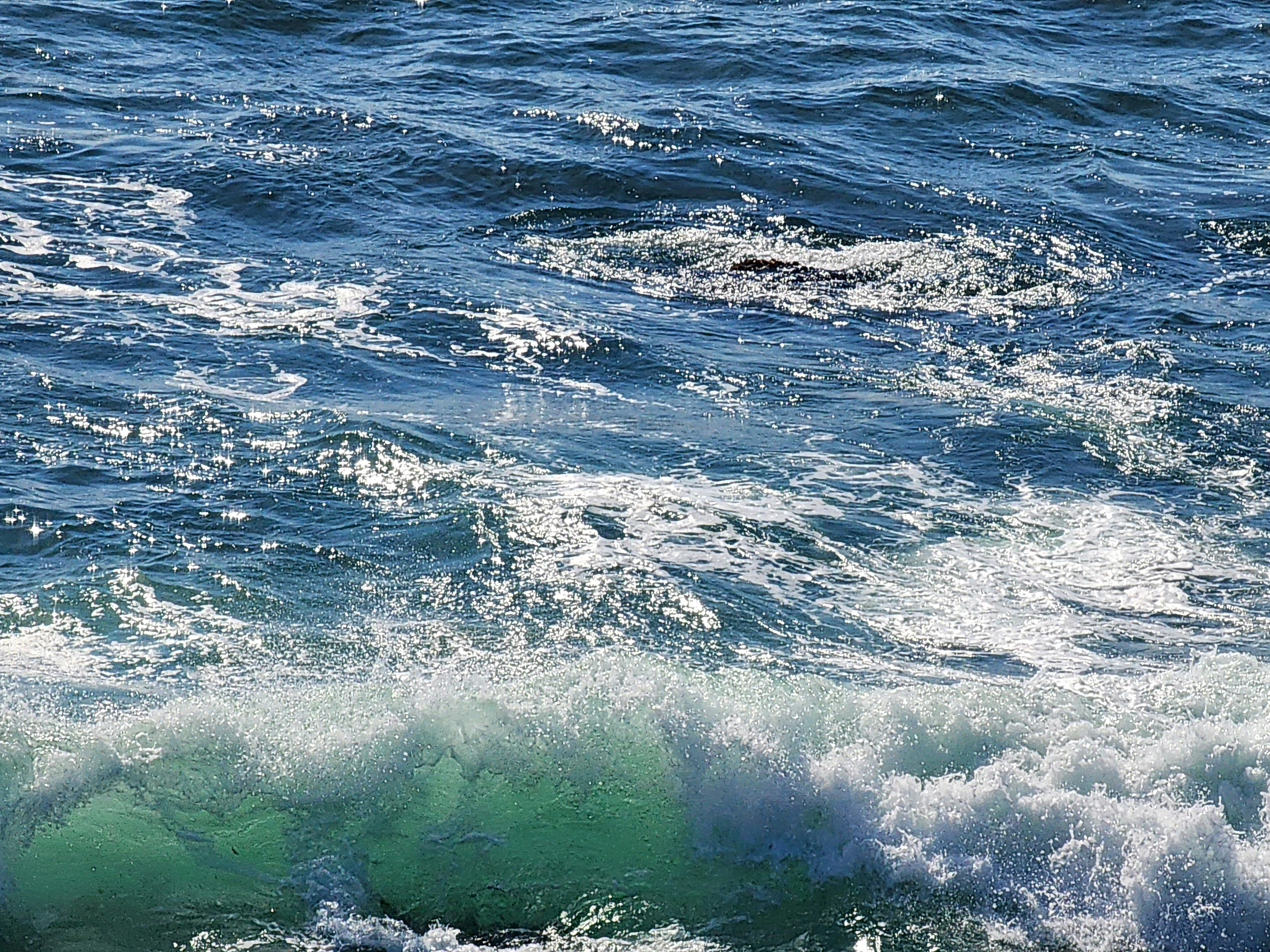 Photo by estephens72